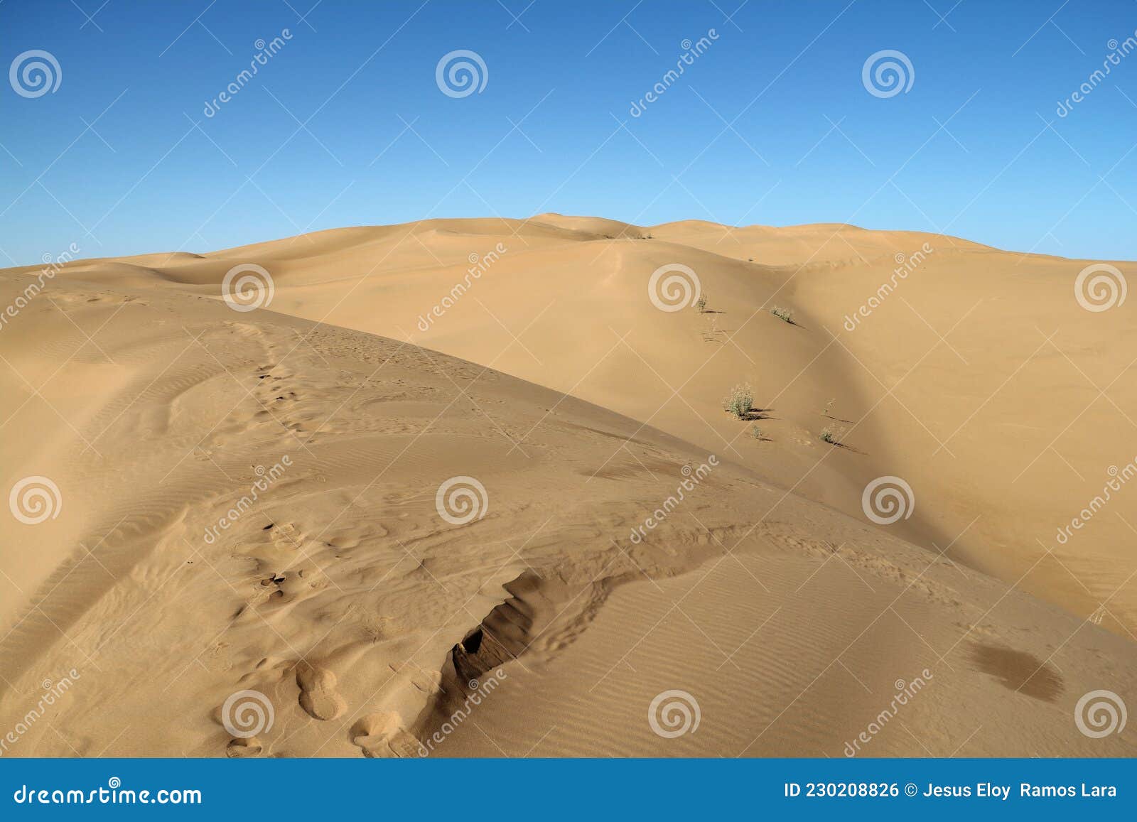 sand dunes of pinacate park near puerto peÃÂ±asco, sonora xxiii