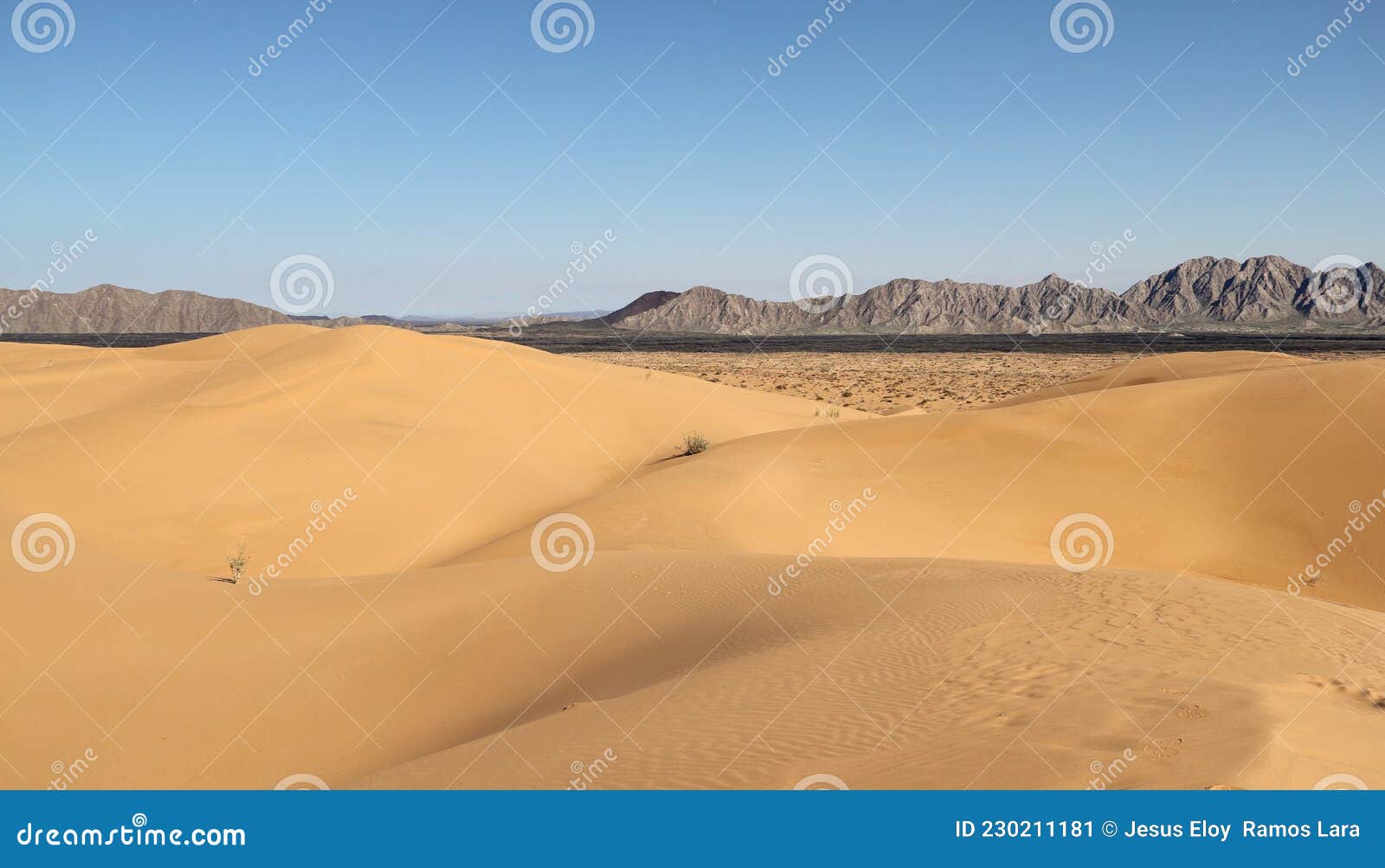 sand dunes of pinacate park near puerto peÃÂ±asco, sonora xxvii