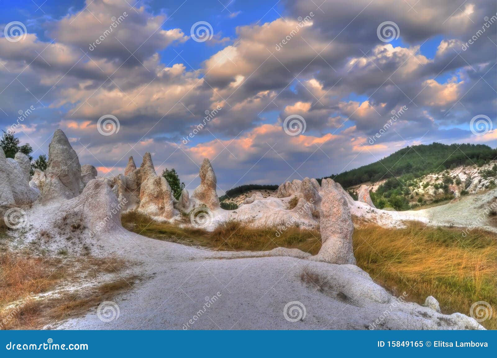 natural phenomenon petrified wedding