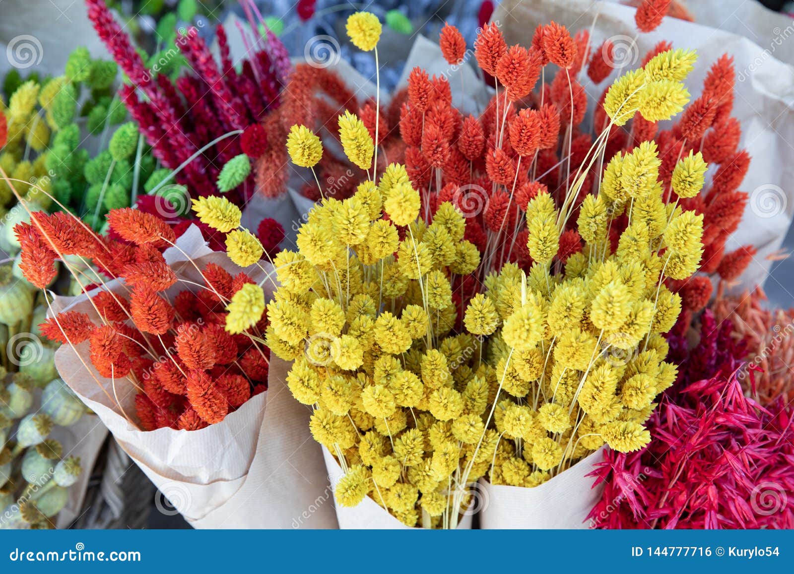 Natural dried flowers