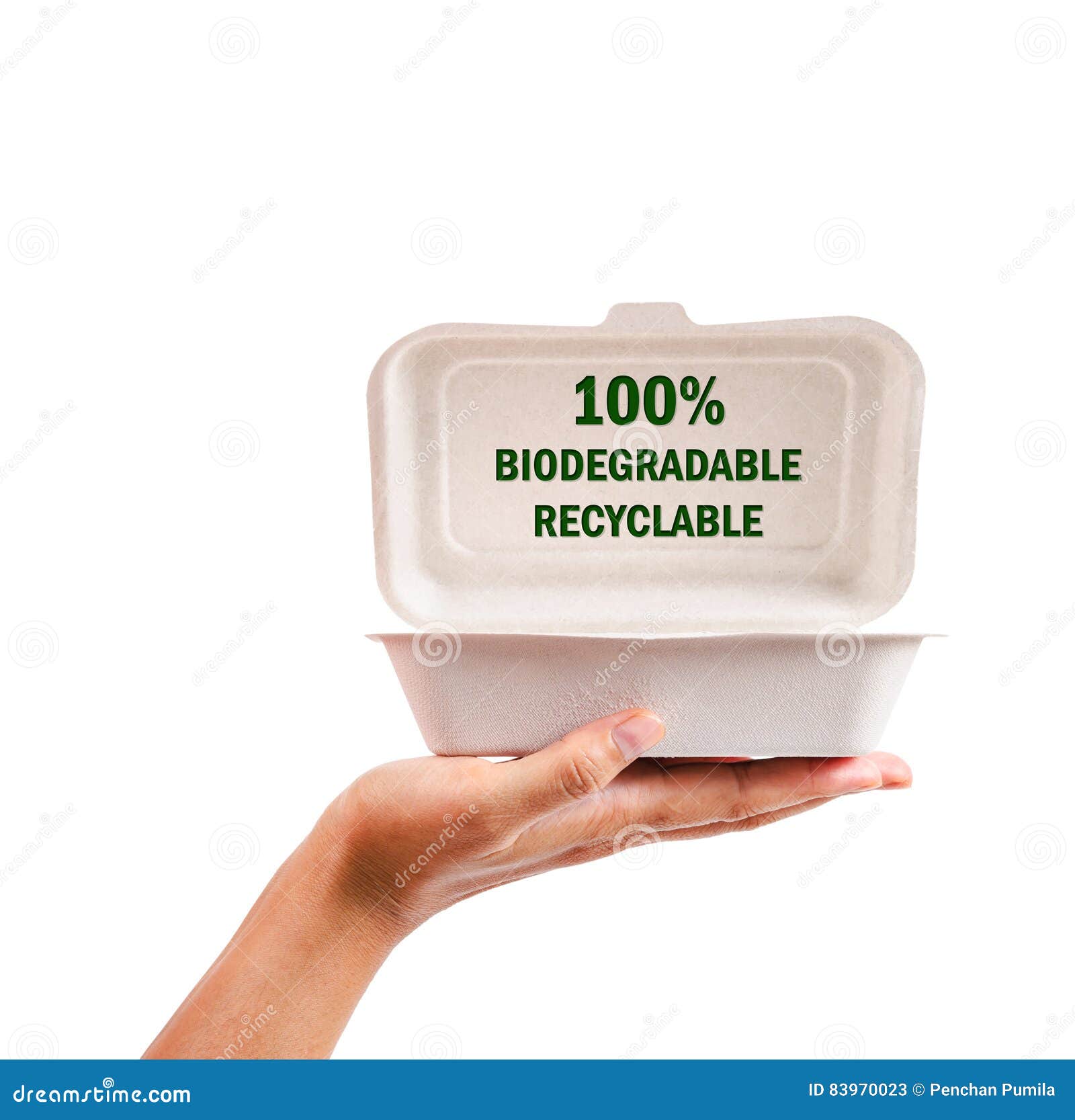 Natural Plant Fiber Food Box in Hand. Stock Image - Image of fiber,  biodegradable: 83970023