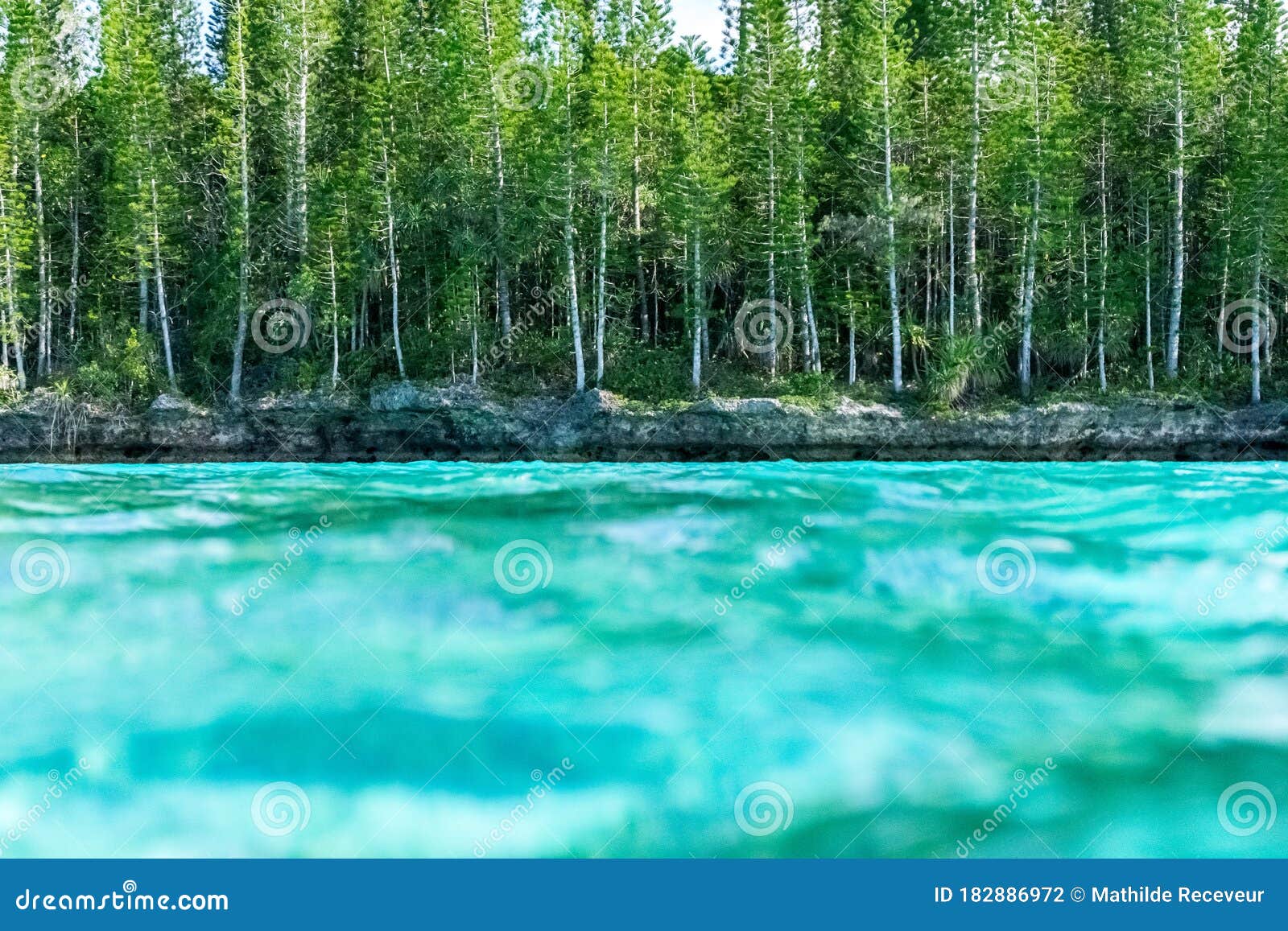 Natural Pool of Oro Bay, Isle of Pines. Underwater Limit Stock Photo ...