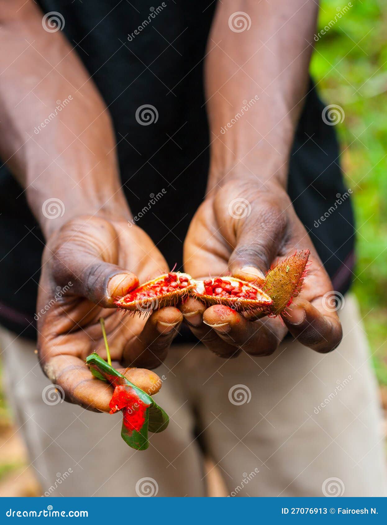 Natural Red Lipstick on Zanzibar Stock Image Image of food, tree