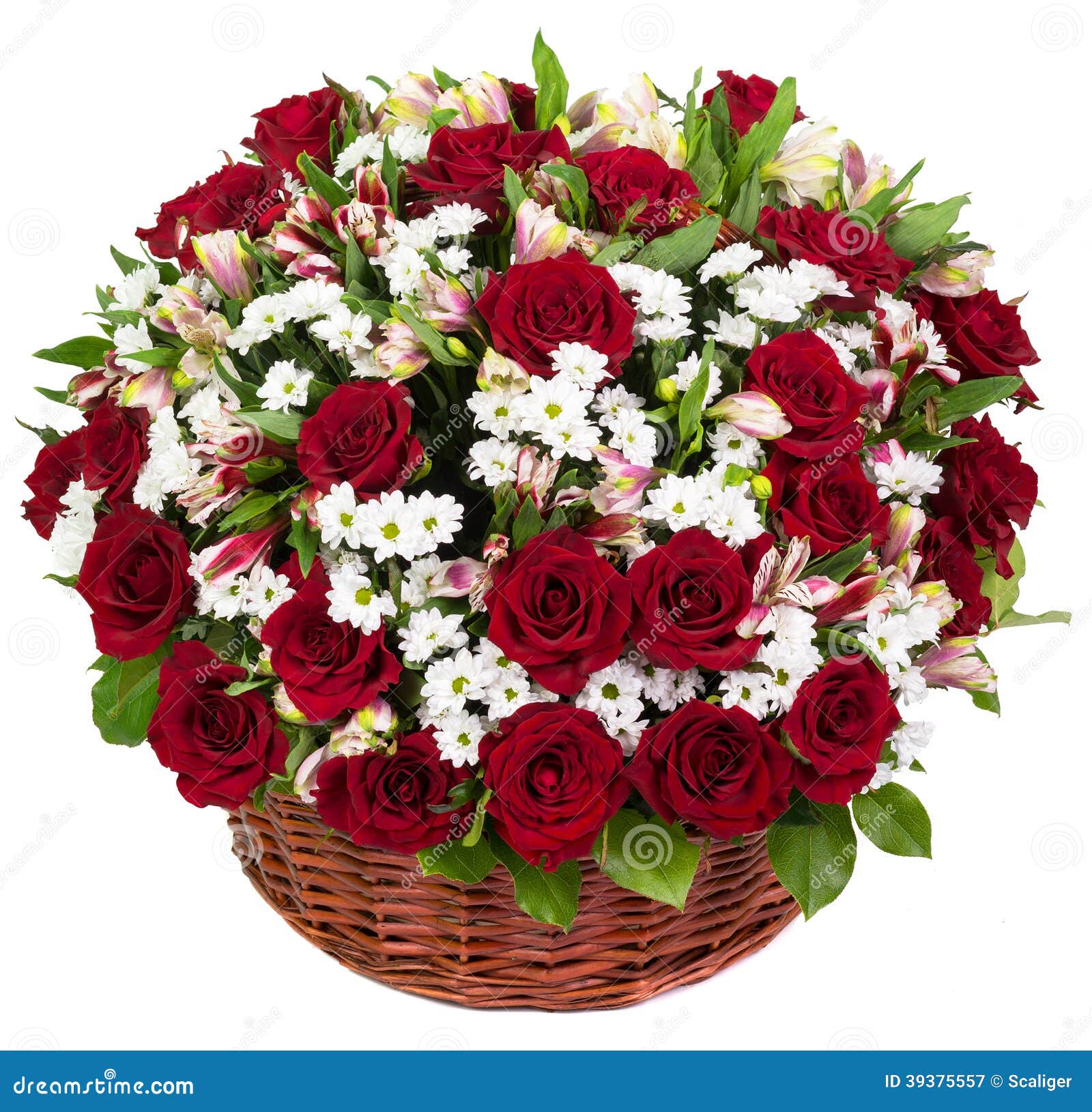 Natural Red Roses in a Basket Stock Image Image of color, blooming