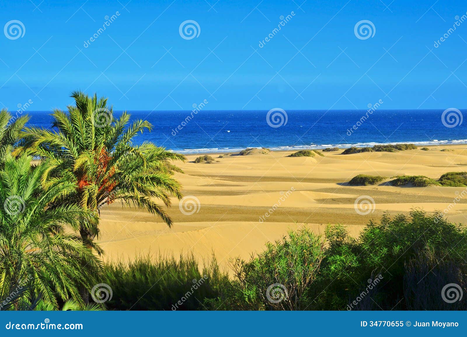 natural reserve of dunes of maspalomas, in gran canaria, spain