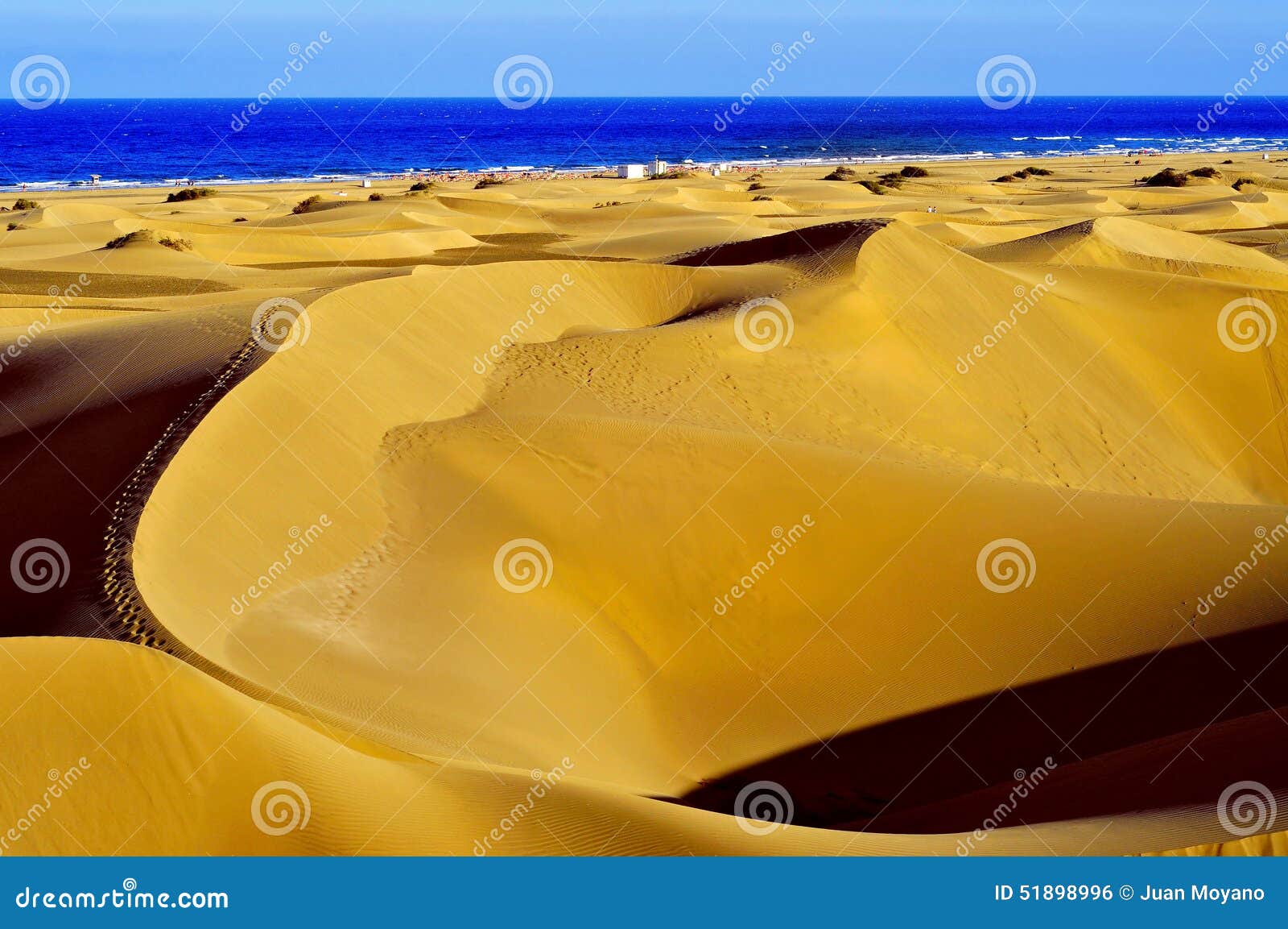 natural reserve of dunes of maspalomas, in gran canaria, spain