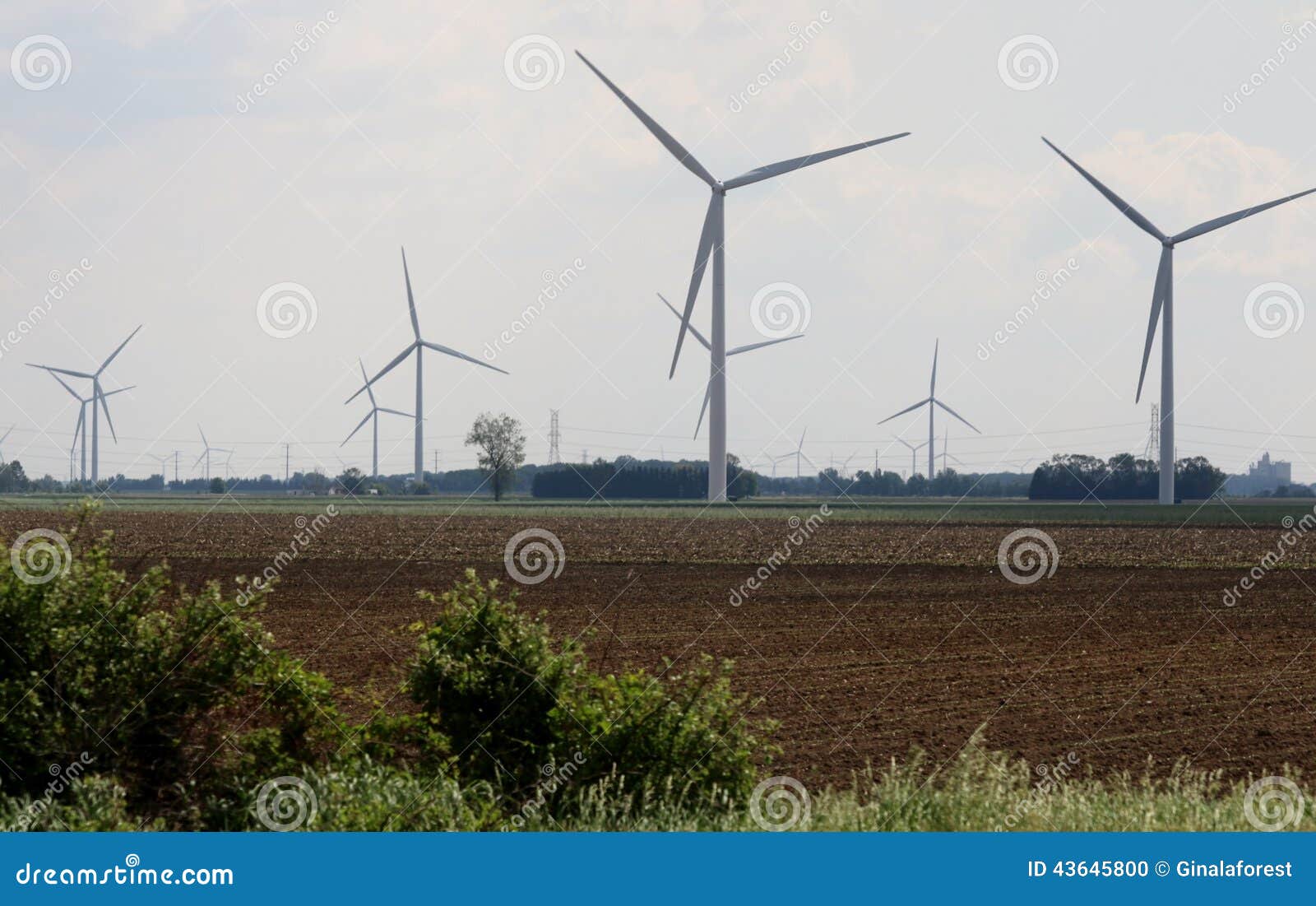 Natural resources stock photo. Image of enviroment, resources 43645800
