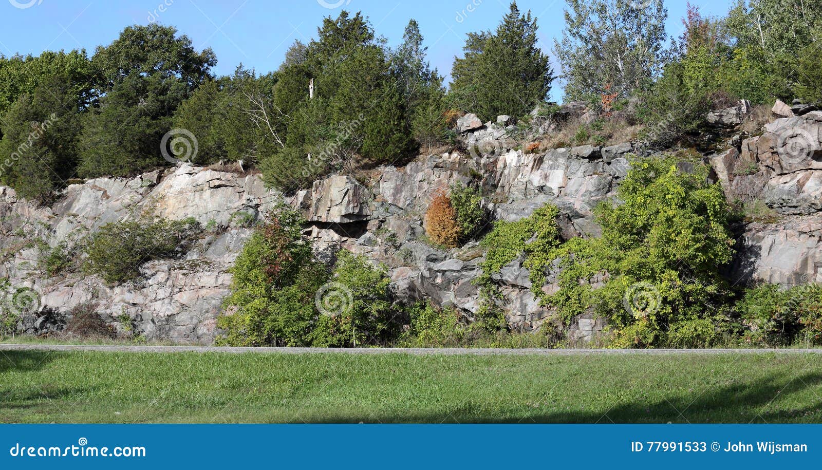 Natural Rock Wall with Trees and Shrubs Stock Image Image of shield, luarentian 77991533