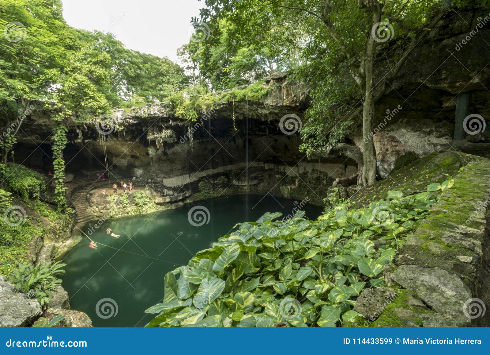 Natural Sinkhole In Mexico Stock Image Image Of Jungle