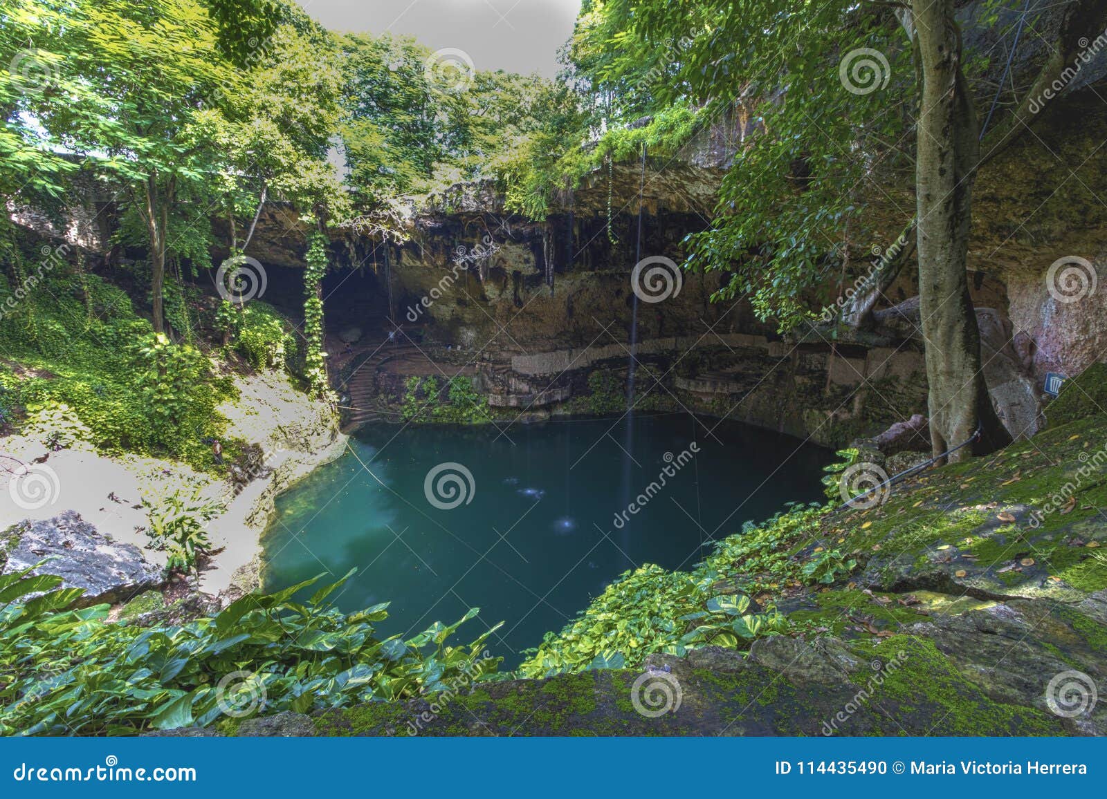 Natural Sinkhole In Mexico Stock Photo Image Of Blue