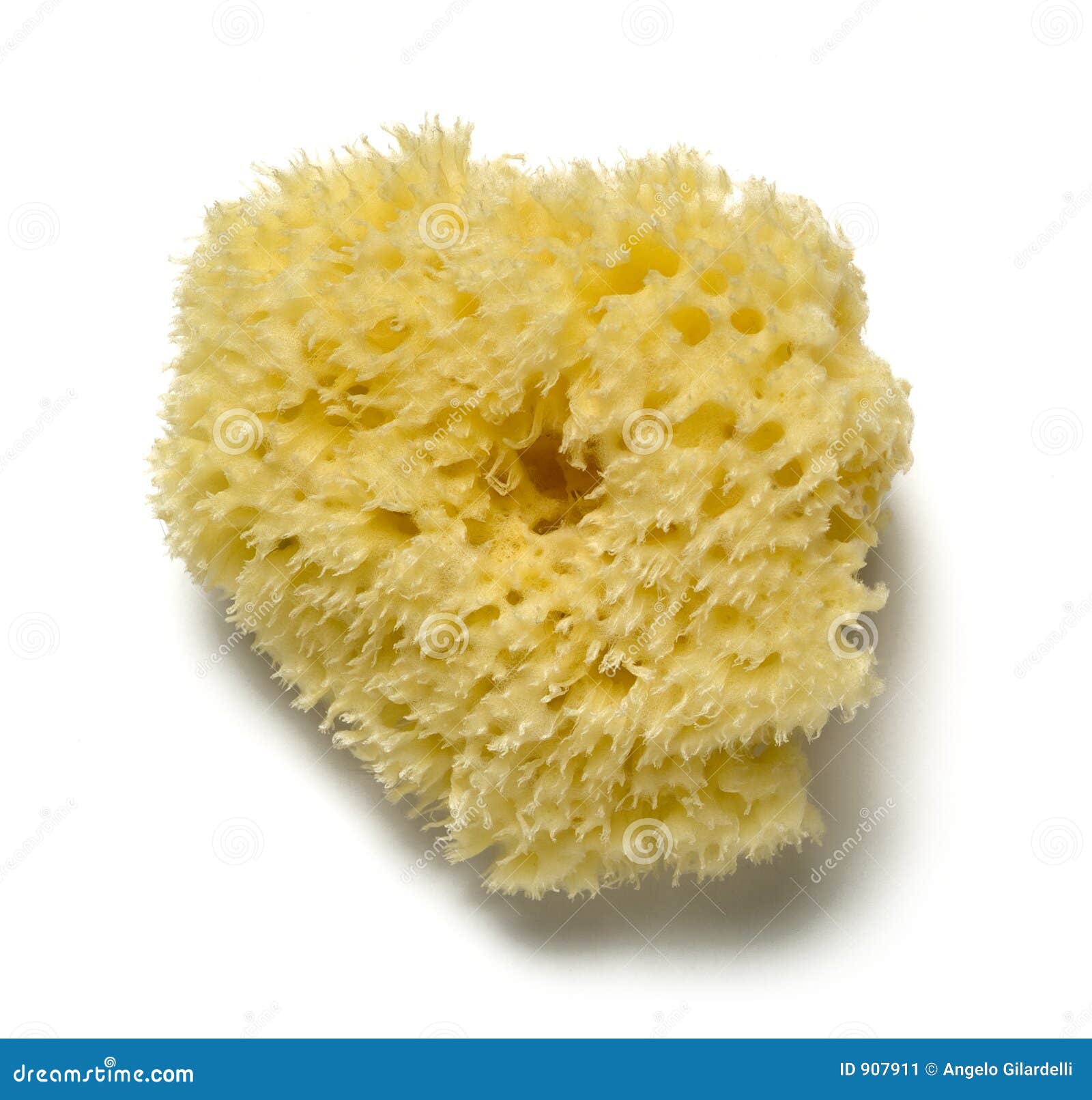 Natural sponge stock image. Image of nature, beauty, health 907911