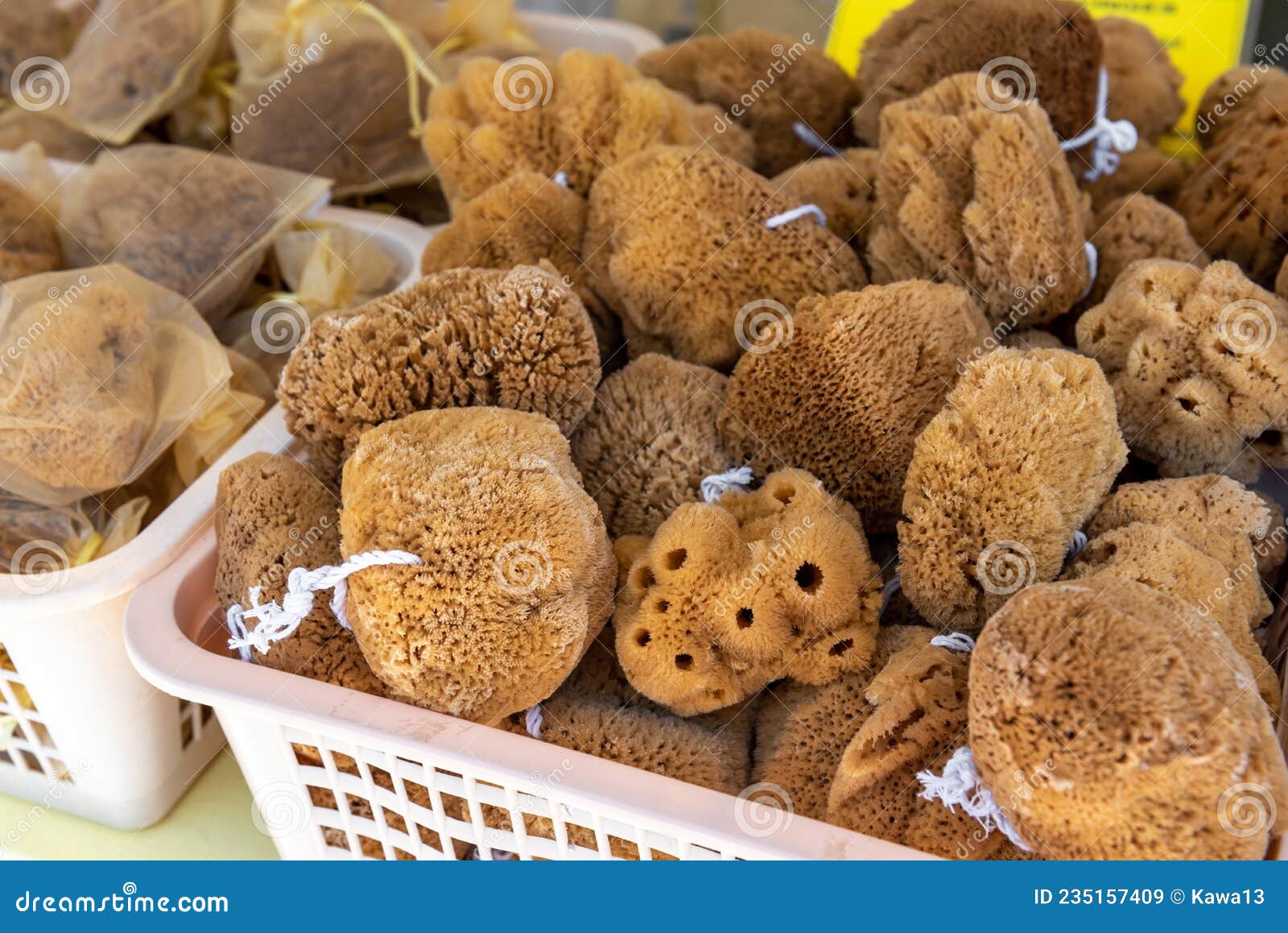 Natural Sponges 
