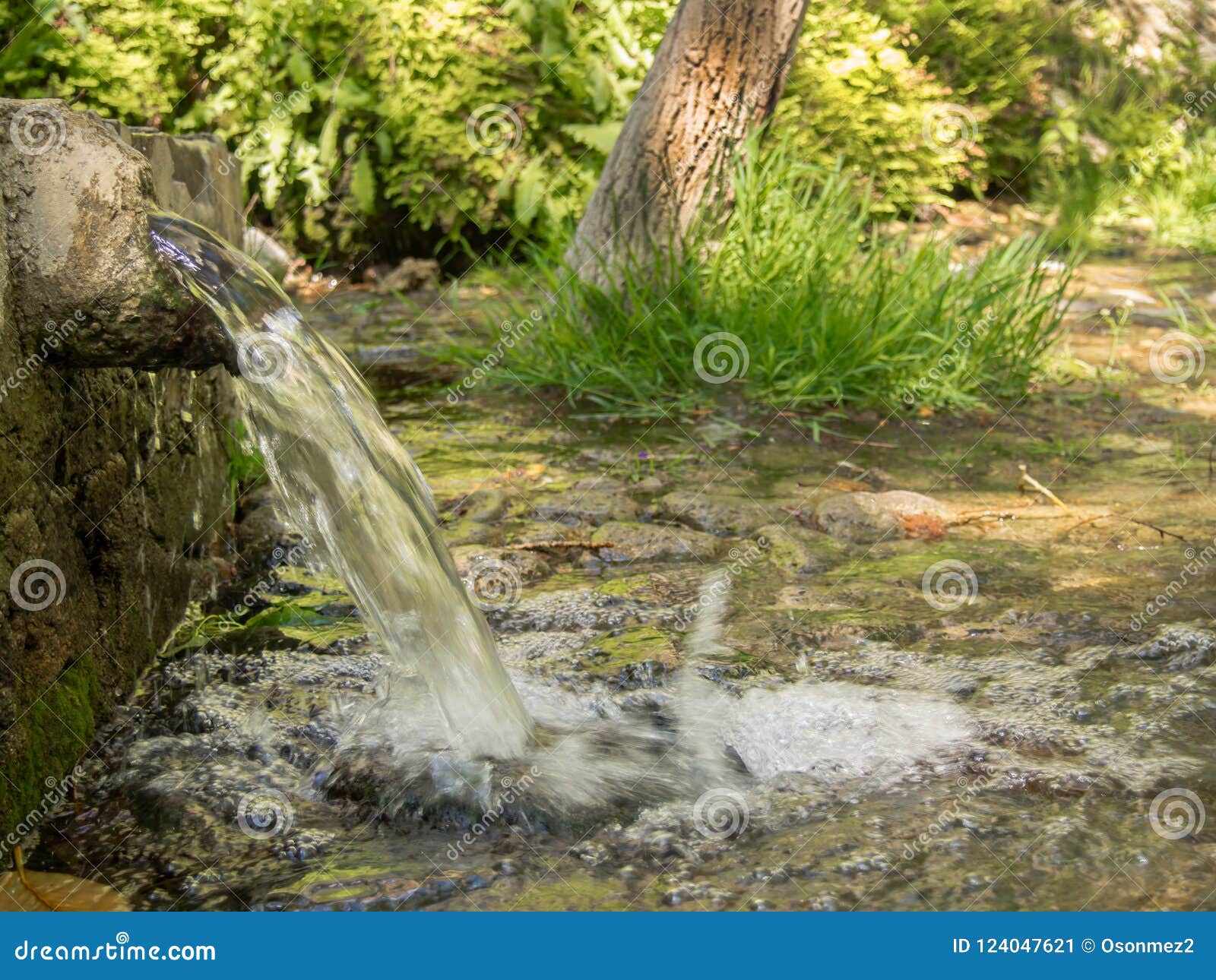 natural-spring-water-forest-natural-spring-water-abundantly-flowing-natural-spring-water-forest-124047621.jpg