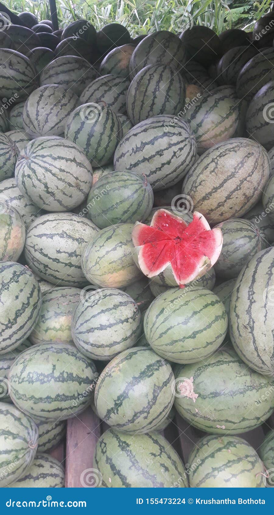 Natural Sri Lankan Watermelon . Red Colour Stock Photo Image of