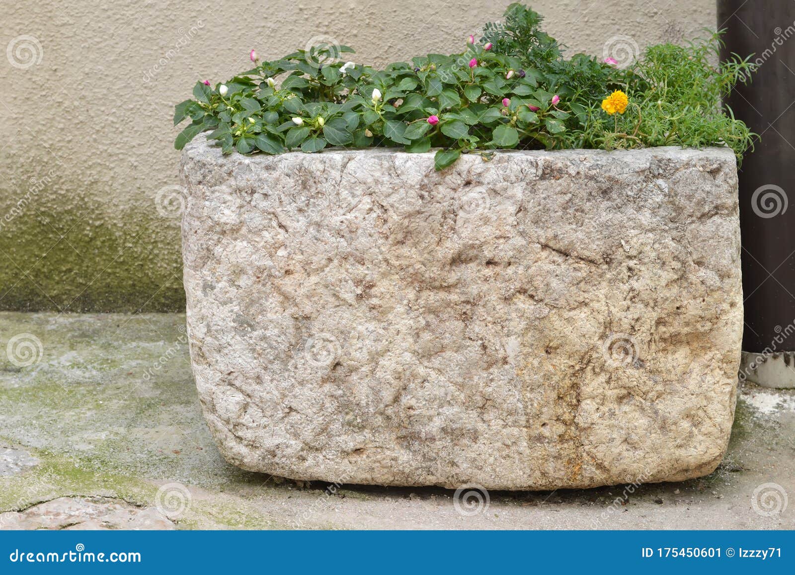 Natural Stone Garden Flower Pot Stock Image Image of carved, object