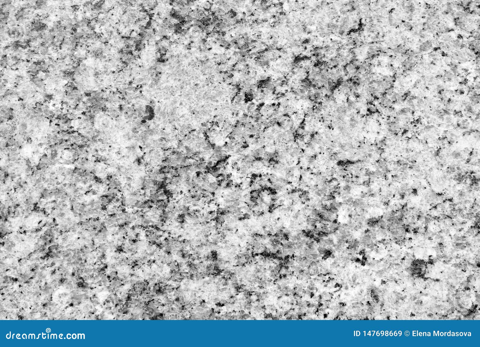 Natural Stone White Granite with Black Spots and Speckles Stock Image