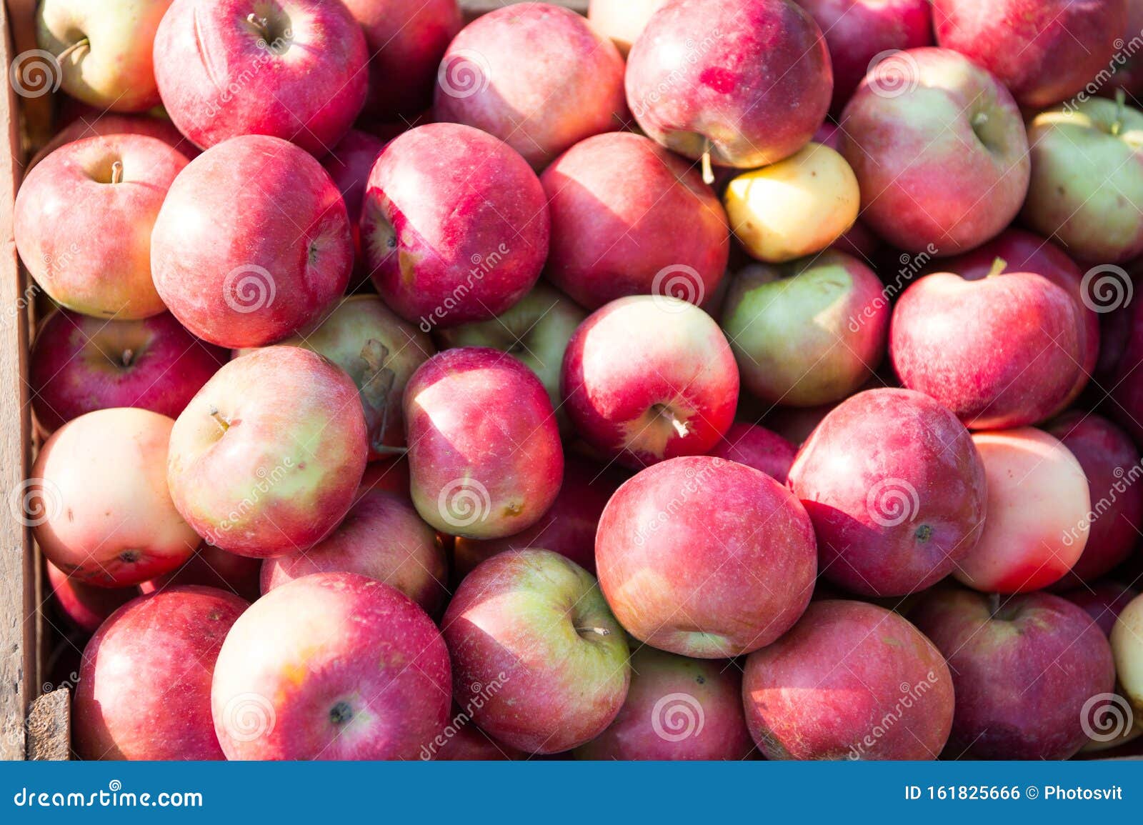 Red apple and green apple in basket with burlap background texture