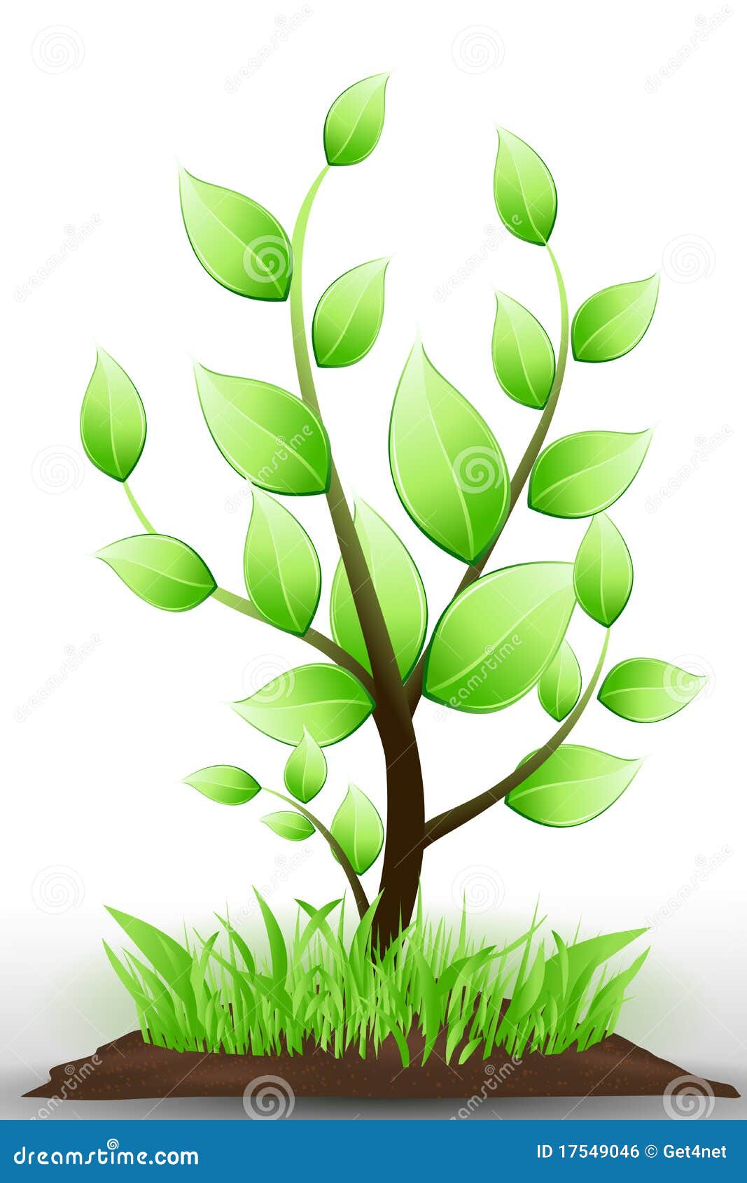 Natural tree stock vector. Illustration of leaf, organic 17549046