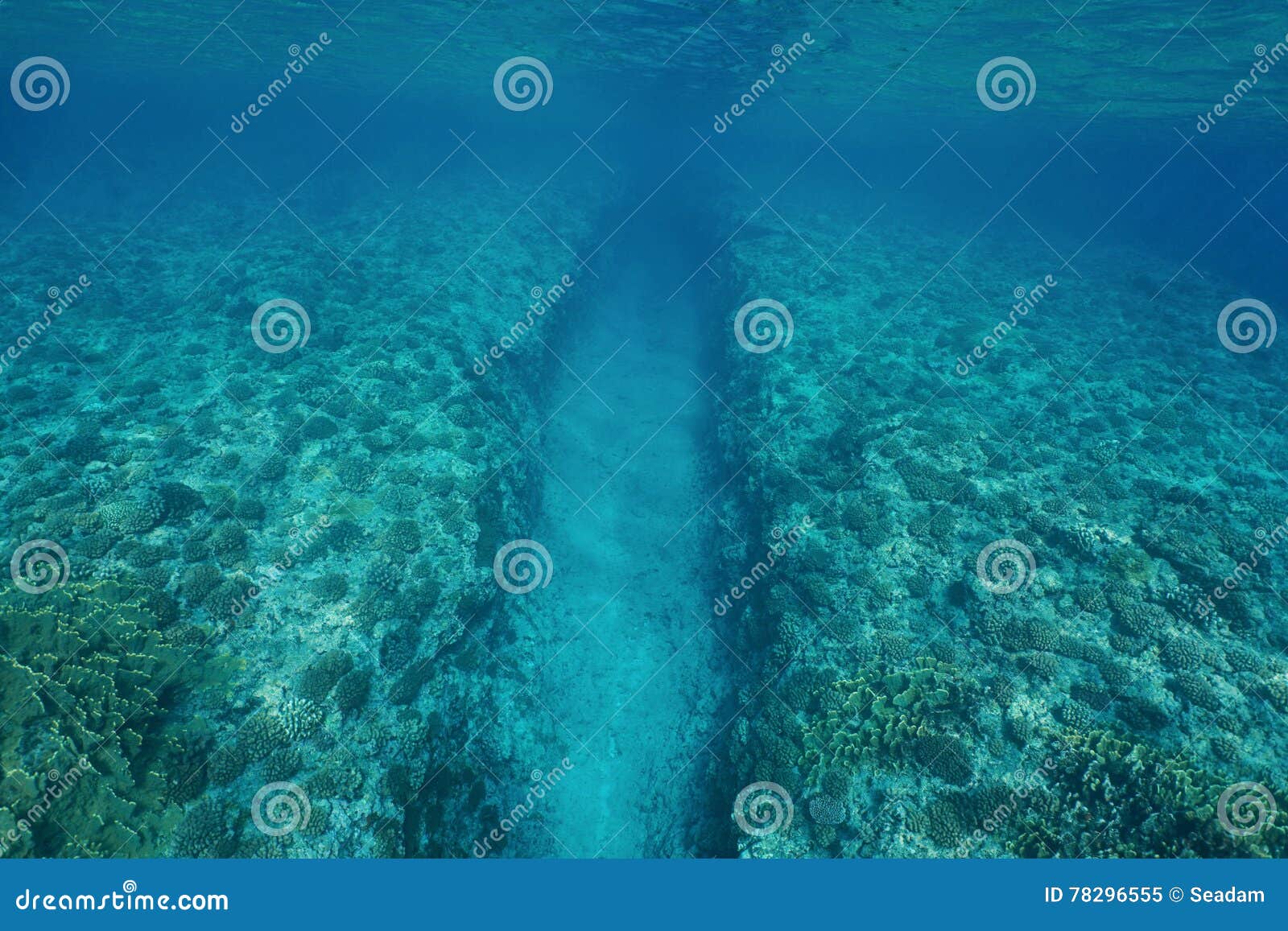 Underwater Trench Map