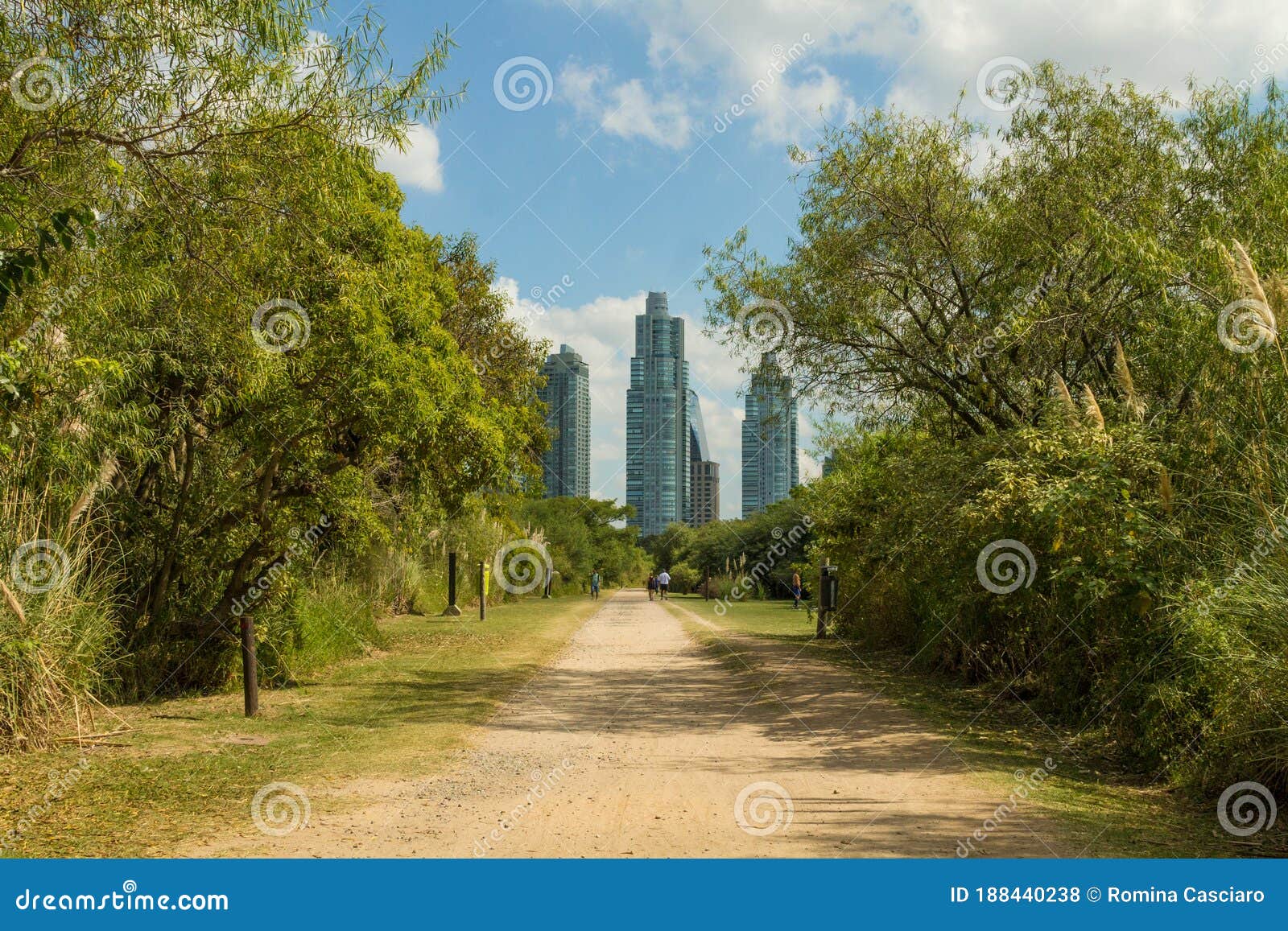 natural view landscape of the costanera sur ecological reserve. urban background on sunny day with blue sky and clouds.