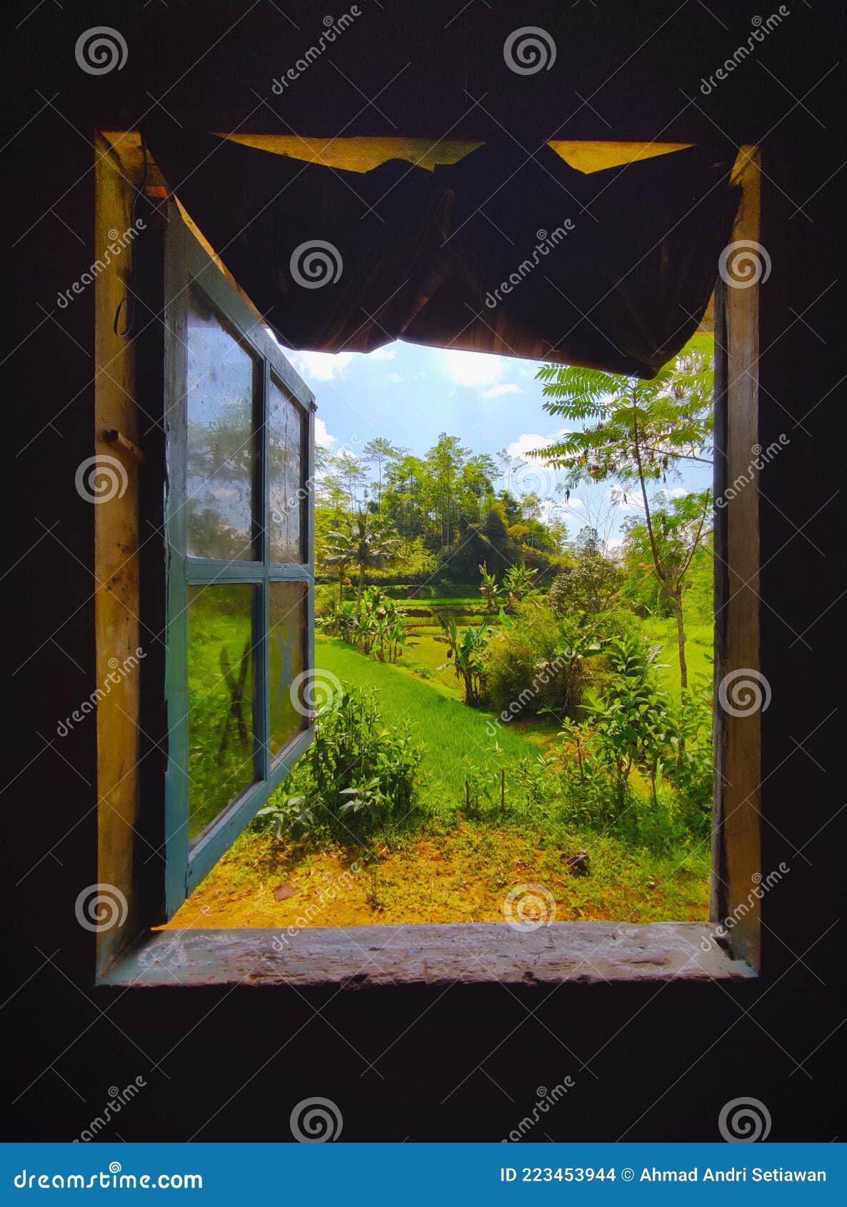Printable View Outside Window