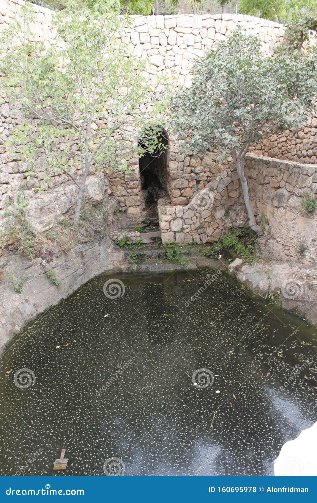 https://thumbs.dreamstime.com/z/natural-water-spring-pool-surrounded-stone-walls-agriculture-irrigation-sataf-ancient-agriculture-site-nature-160695978.jpg