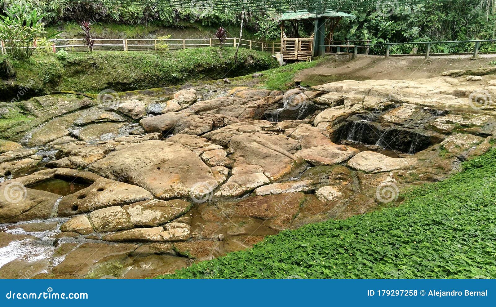 natural waterfont with ancient petroglyphs knowed as `fuente de lavapatas` at colombian san agustin archaeological park.