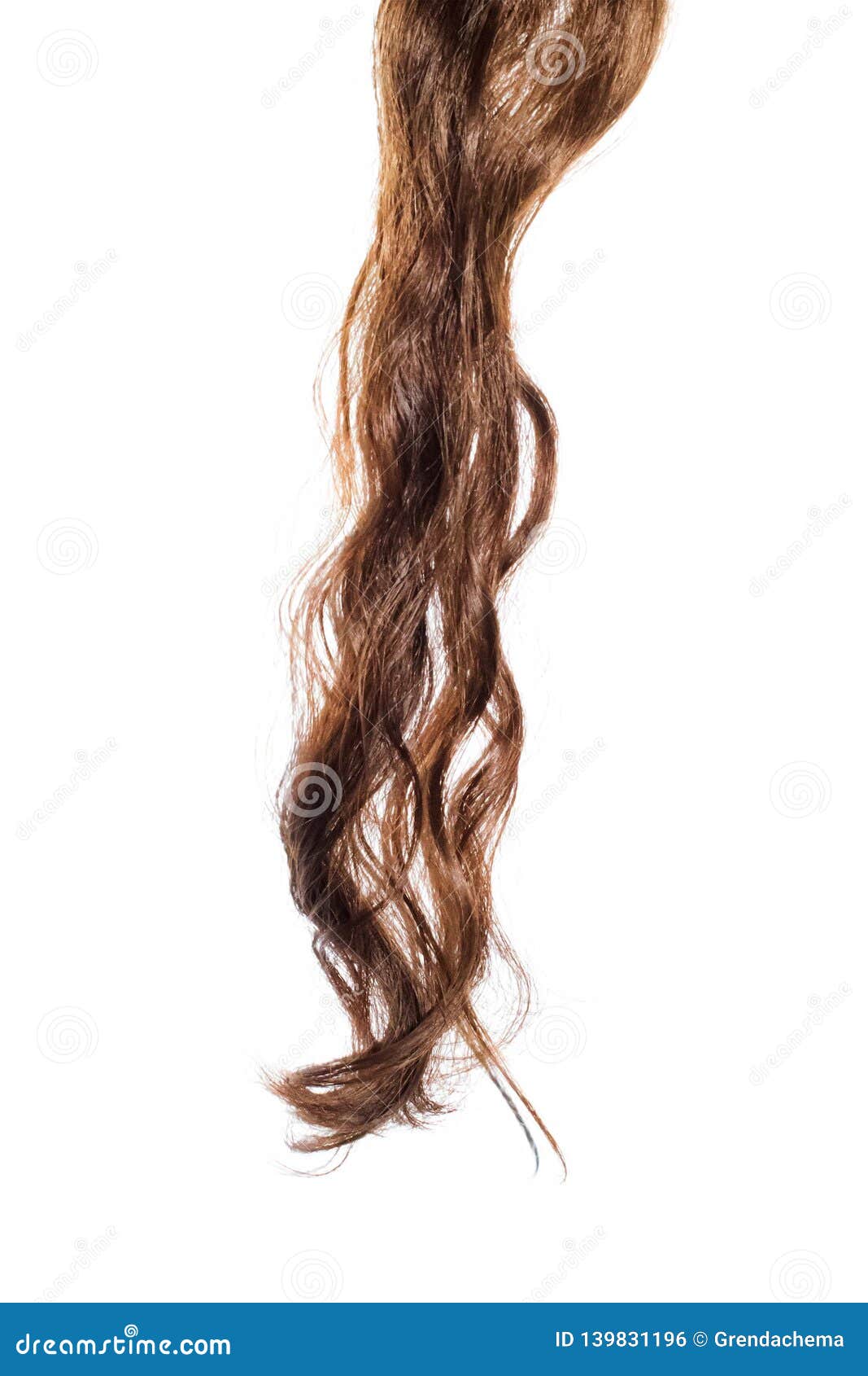 Natural Wavy and Frizzy Hair Isolated on White Background Stock Photo -  Image of brown, extension: 139831196