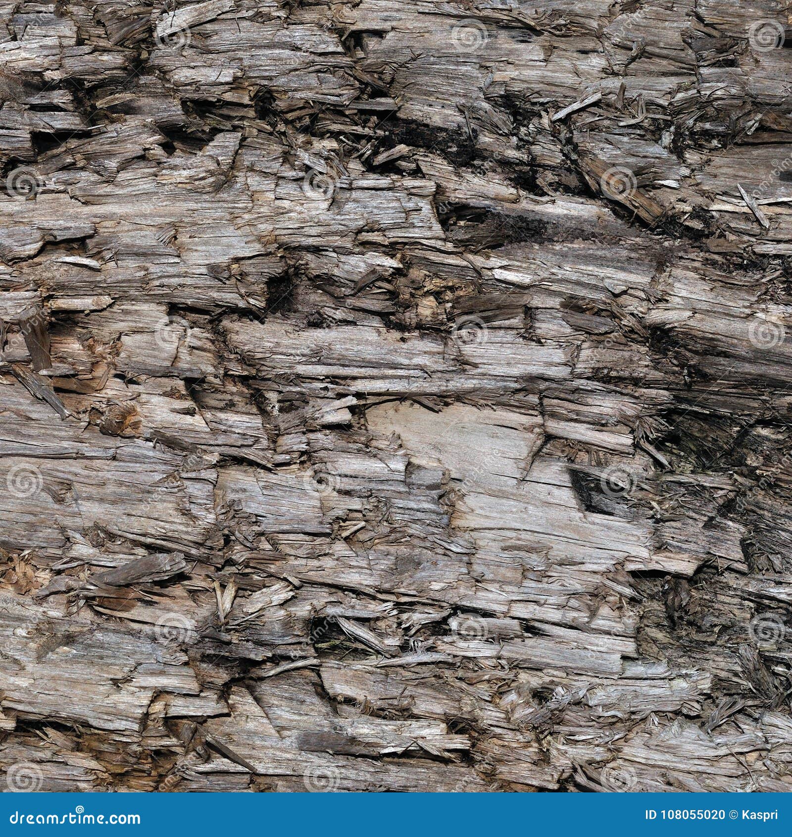 natural weathered grey taupe brown cut tree stump texture, large horizontal detailed wounded damaged vandalized gray lumber