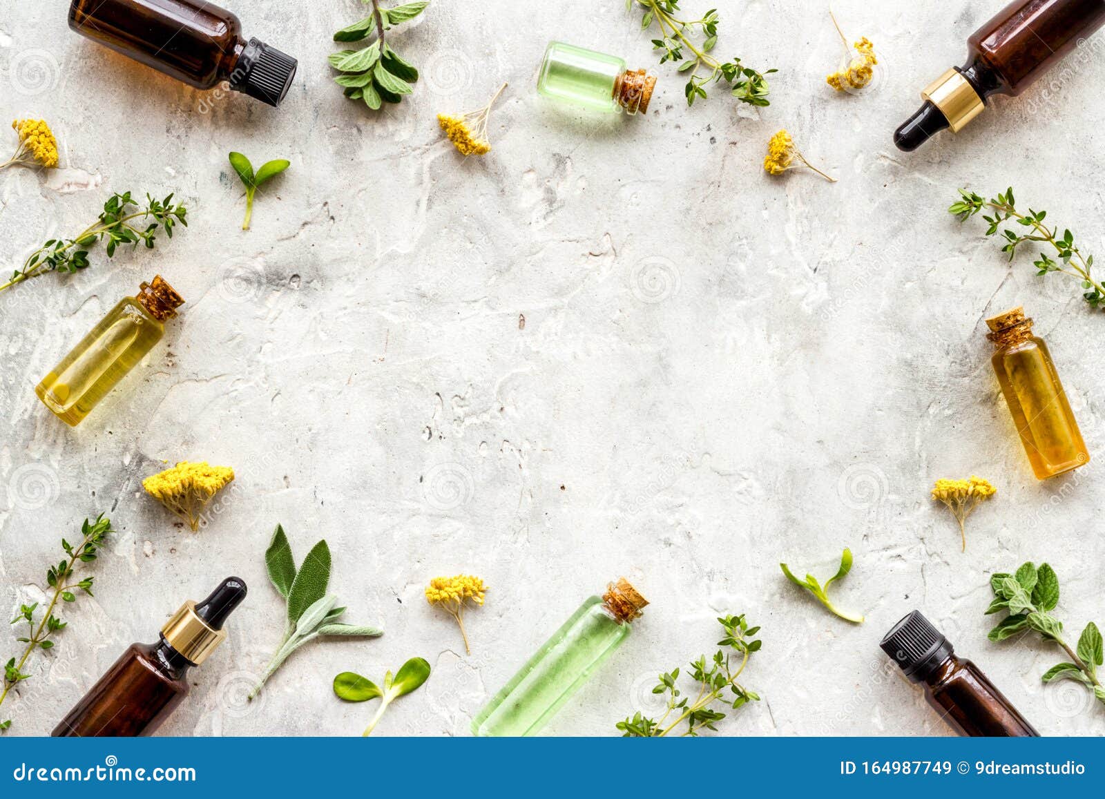Natural Wellness. Essential Oils Near Herbs and Leaves on Grey