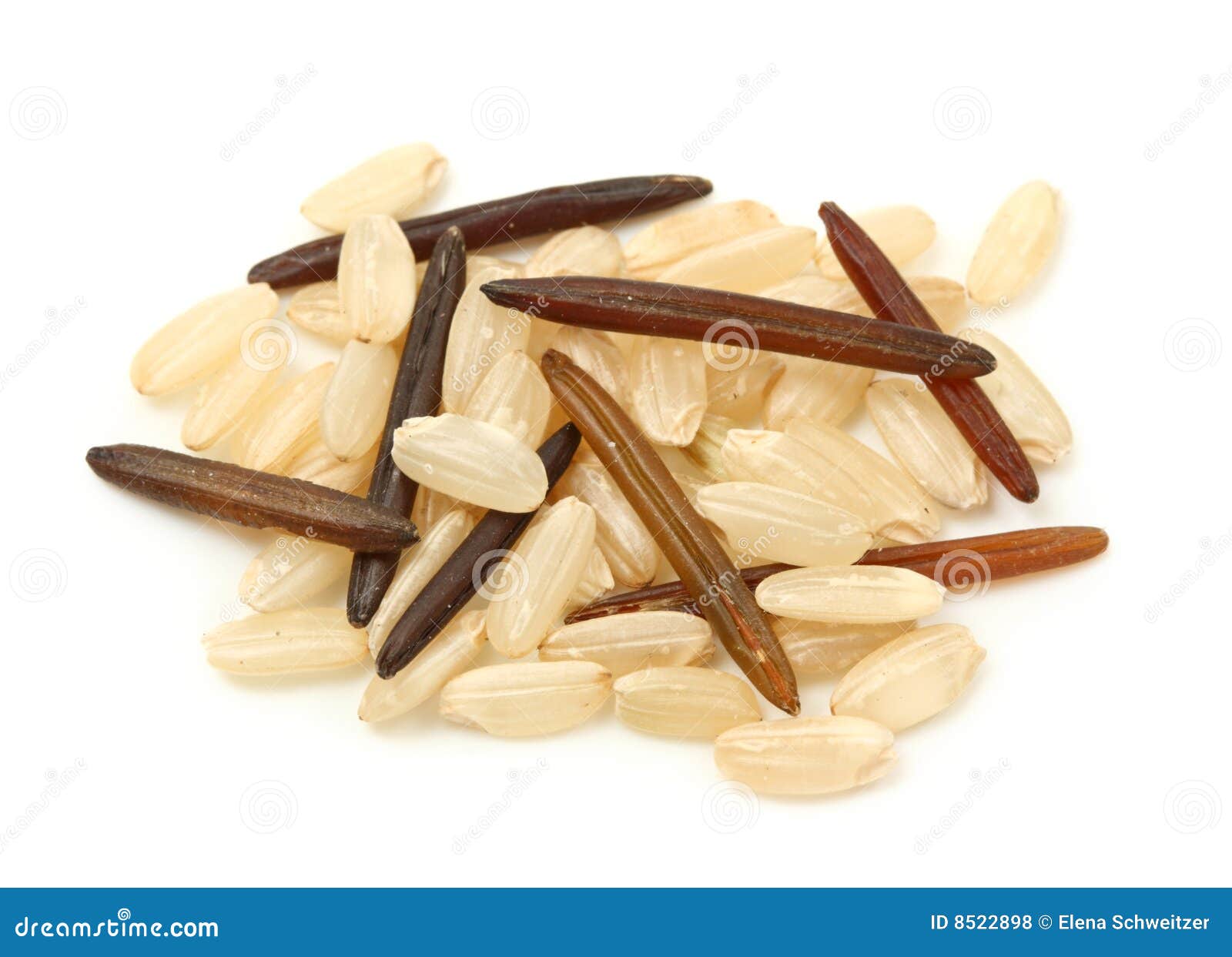 Natural and wild rice stock photo. Image of organic, group 8522898