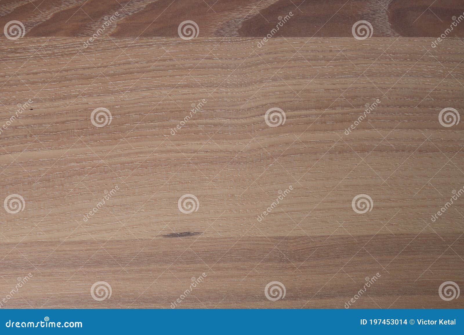 Natural Wood Texture. Whitewashed Ash Stock Photo Image of wall