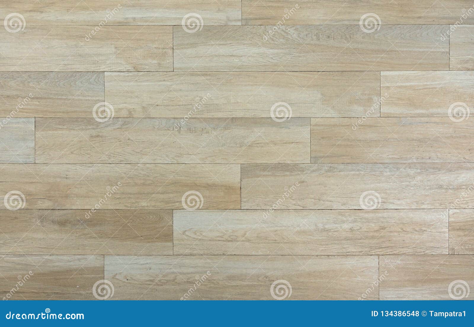 Origin Decorative for Floors, Walls and Surface Design