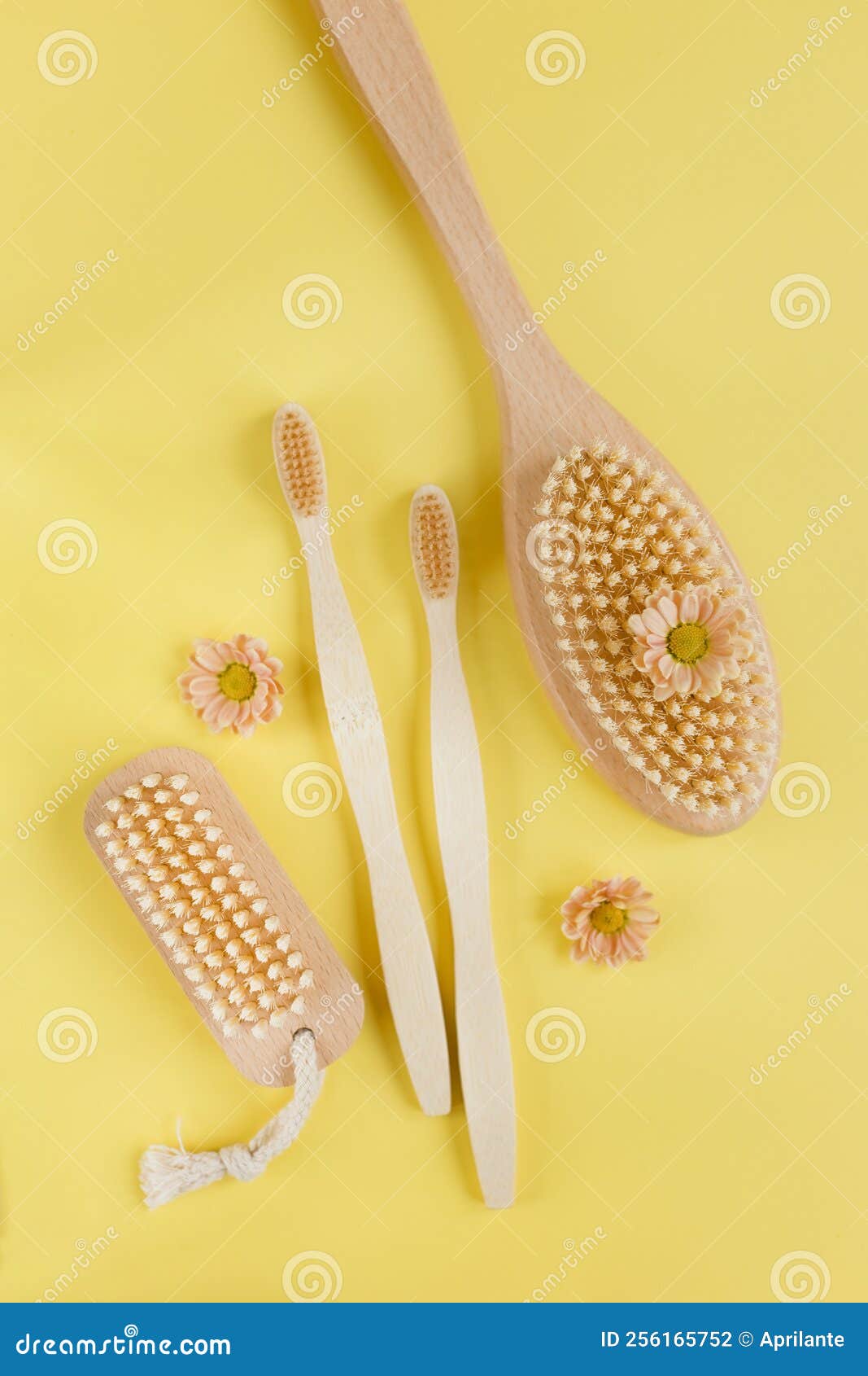 natural wooden brush eco cosmetics tools