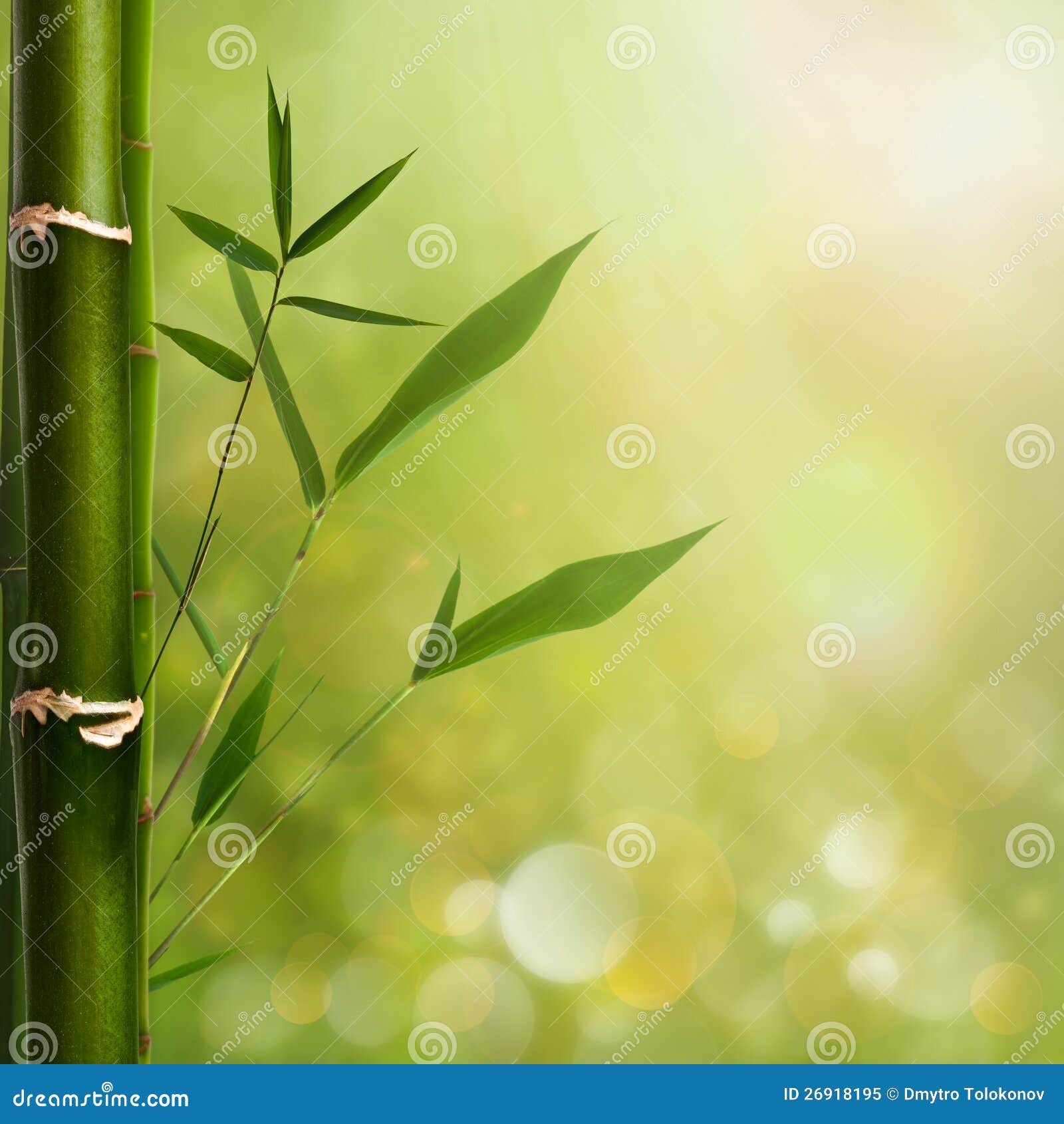 Natural zen backgrounds stock image. Image of flower 26918195