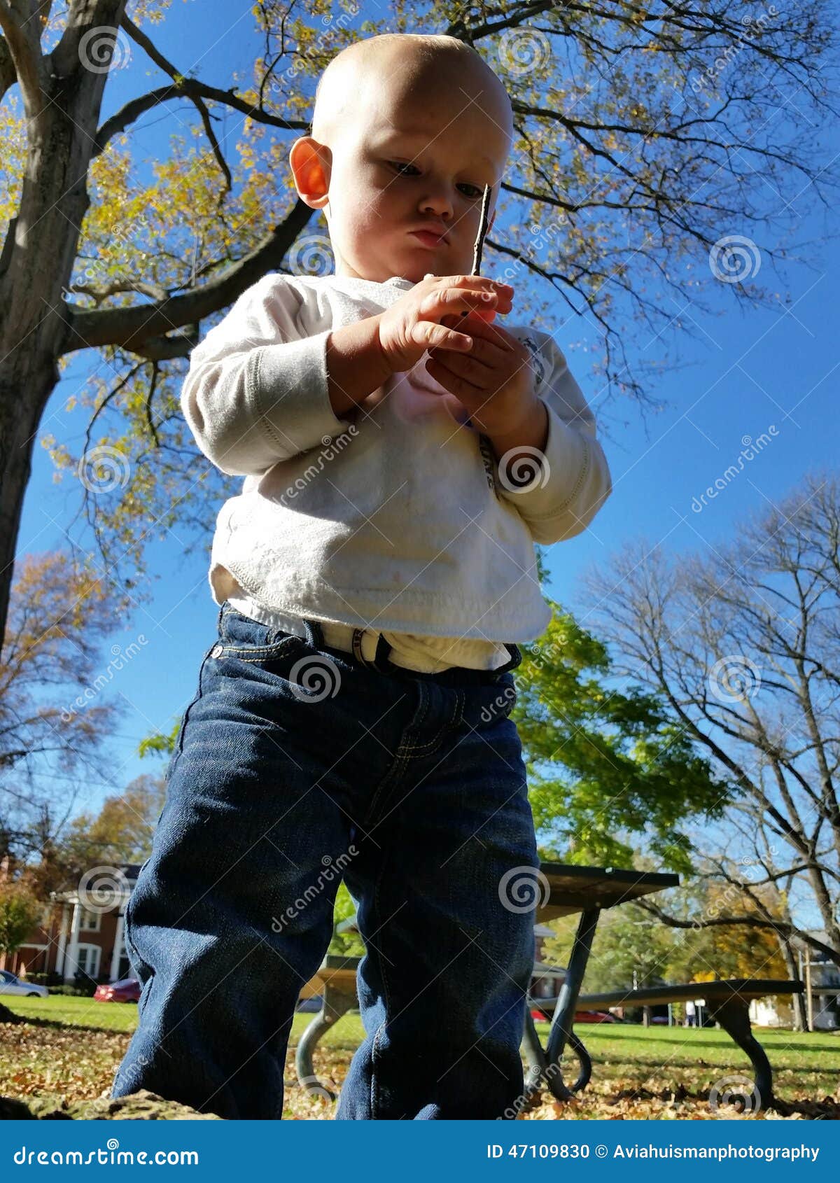 Naturaleza de exploración del niño. Un niño pequeño afuera en el parque que miraba un palillo llenó del facination