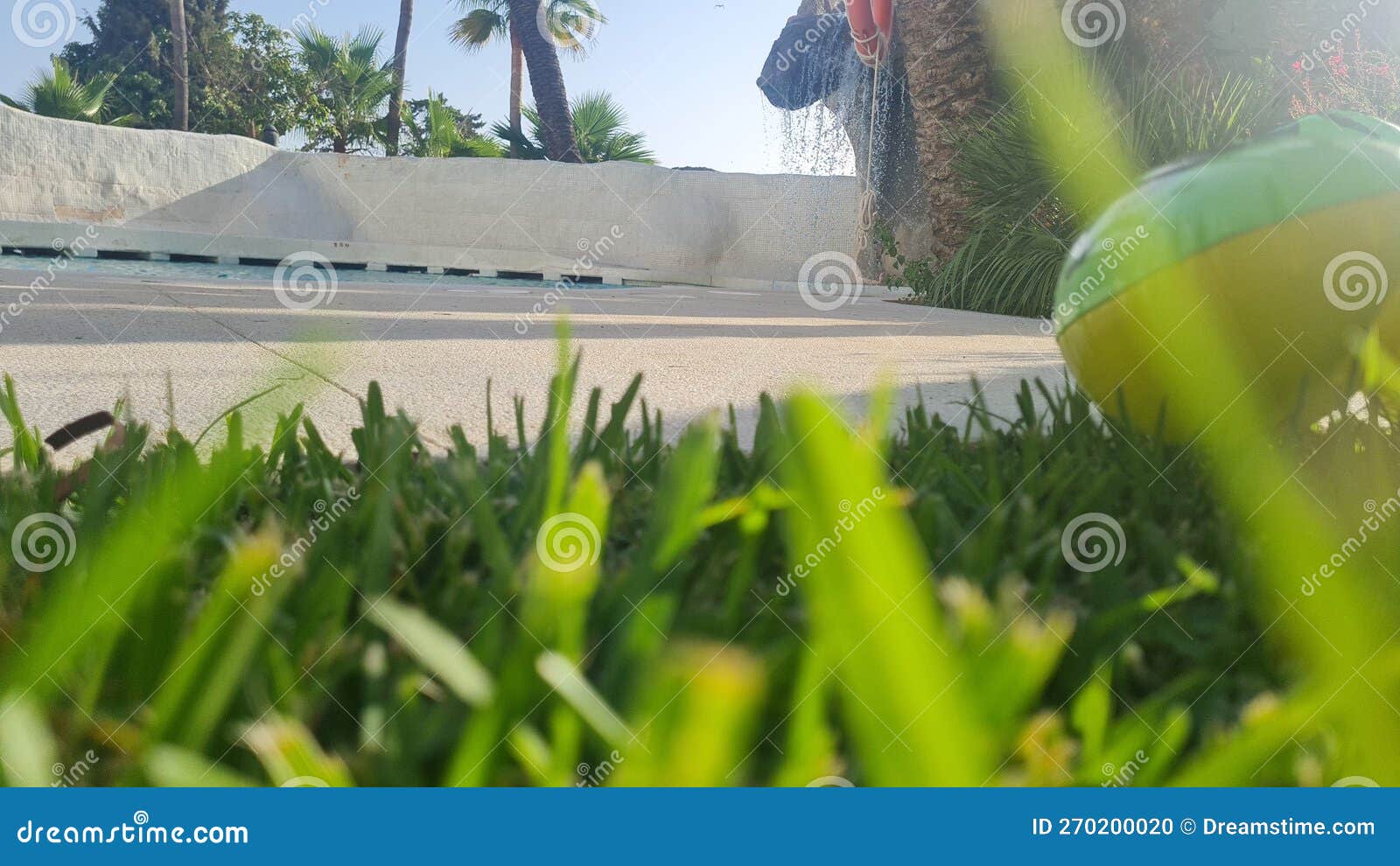 naturaleza en la gran ciudad