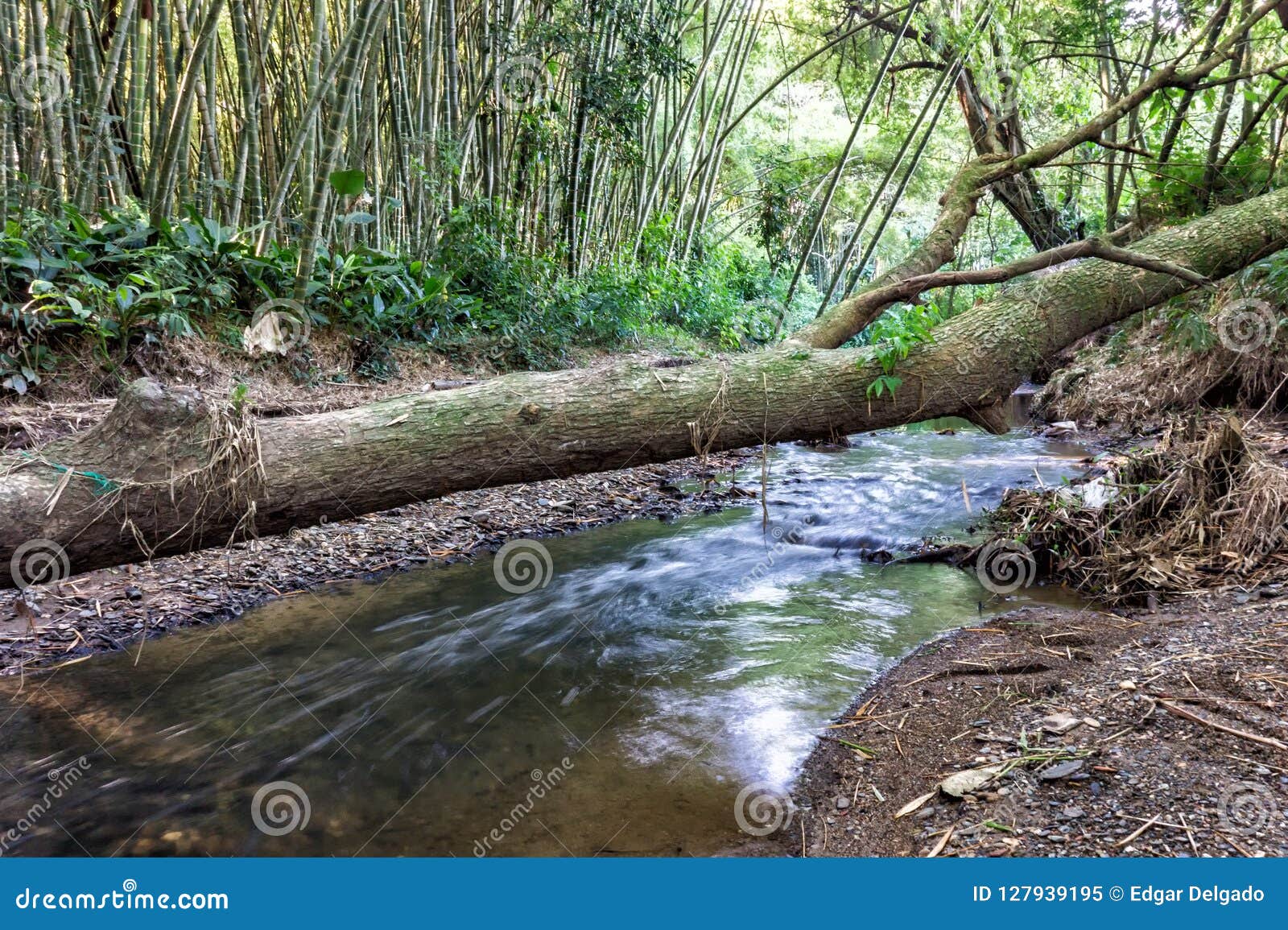 naturaleza maravillosa