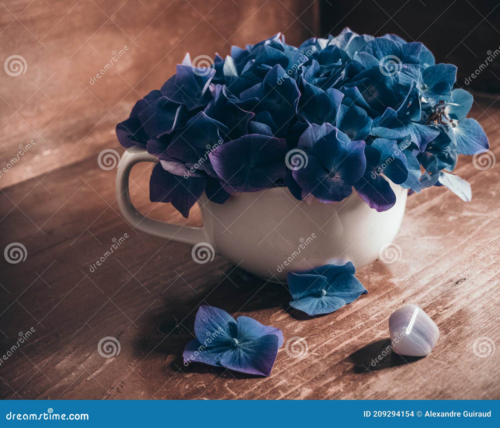 Naturaleza Muerta Con Flor Azul Foto de archivo - Imagen de agradable,  lifestyle: 209294154