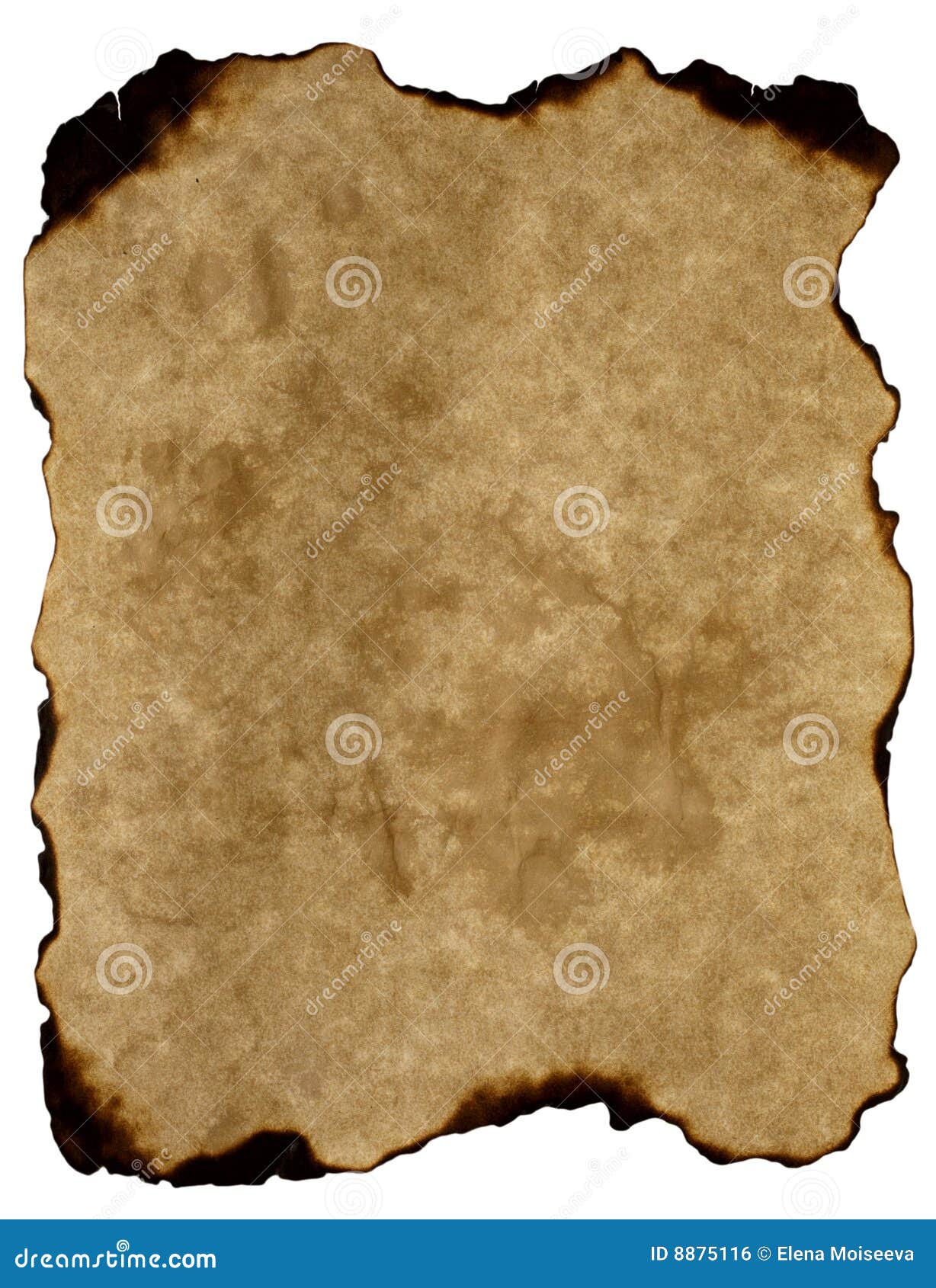Burnt Old Parchment Texture