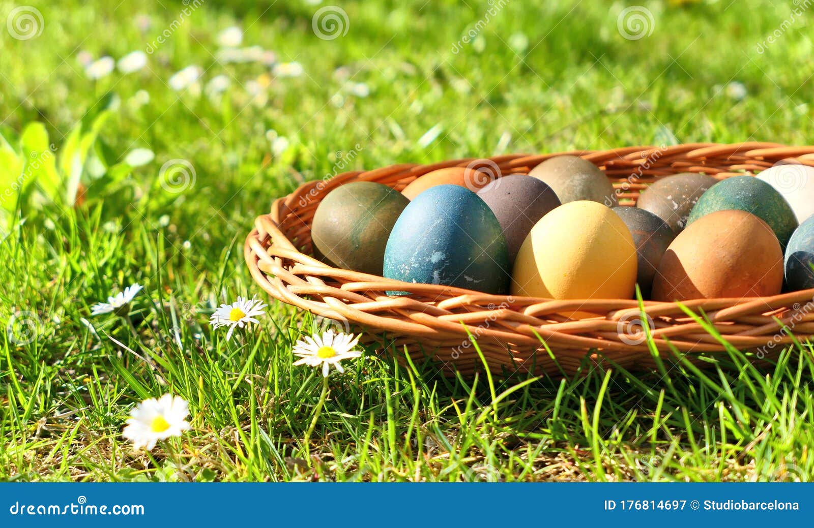 Naturally Dyed Easter Eggs in the Basket on Grass Stock Image Image of colorful, easter 176814697