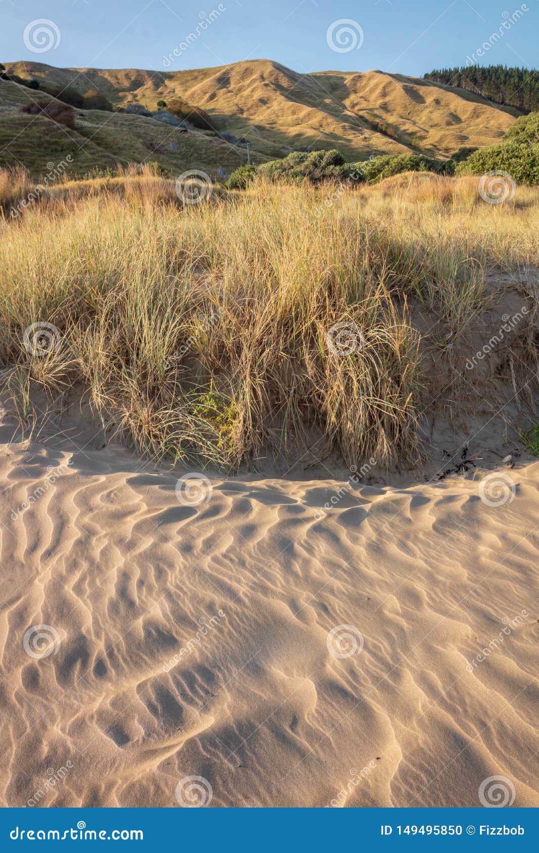 naturally occuring patterns in sand