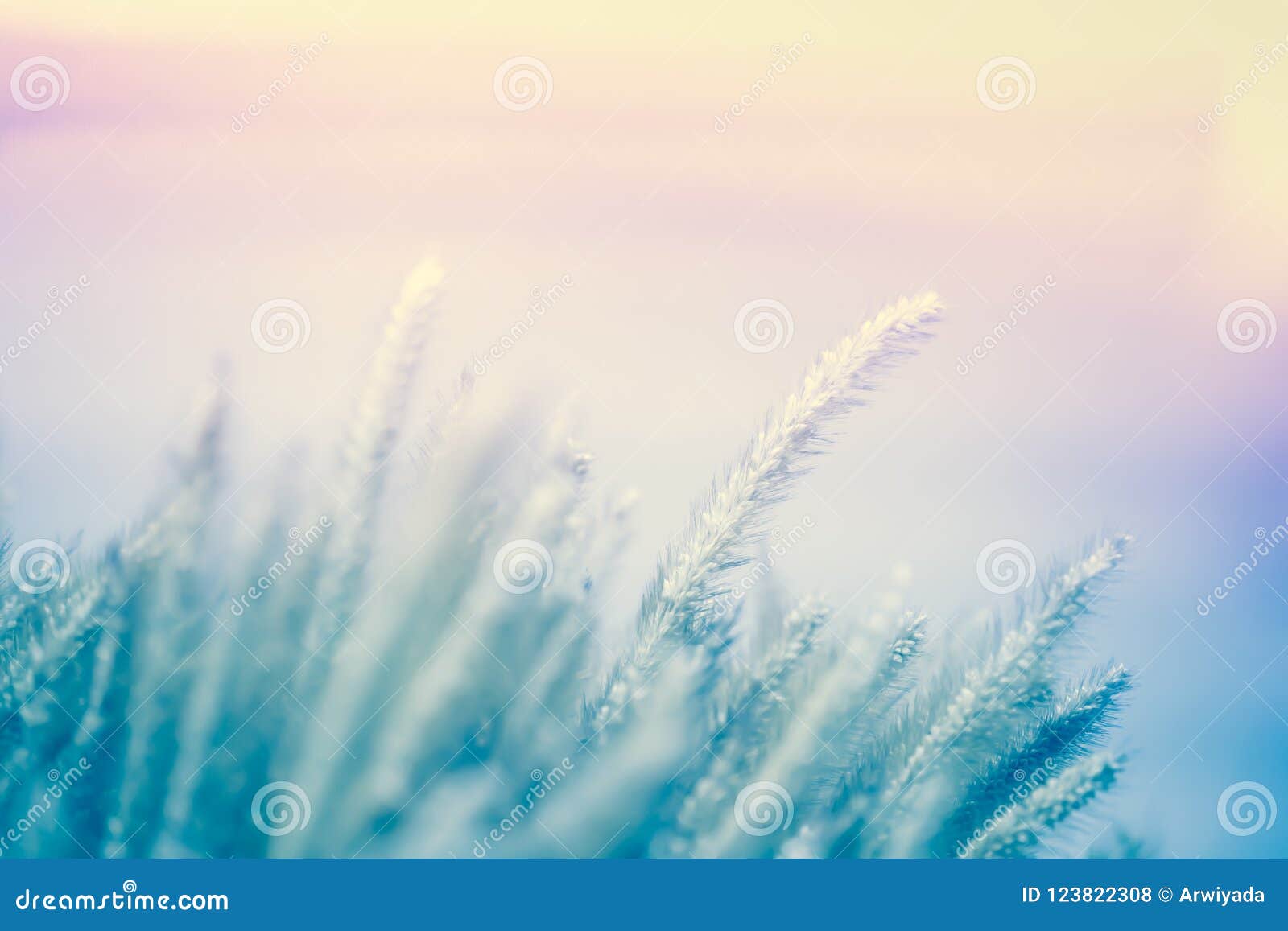 Background of Bright Light Beautiful Soft Color Blur. Stock Photo - Image of glow, 123822308