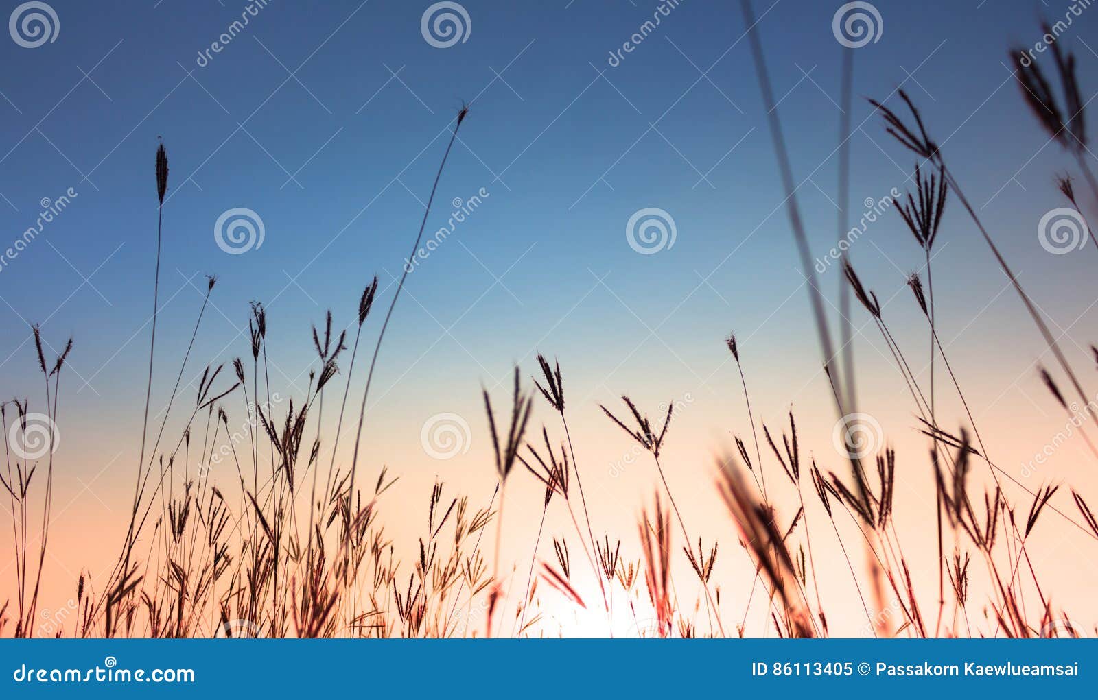 nature background