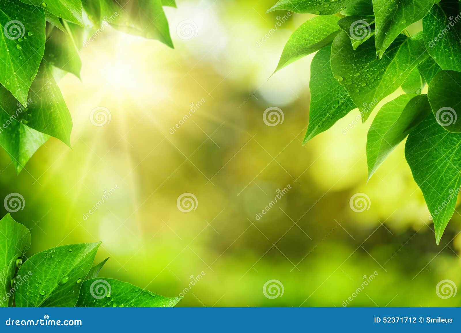 nature background framed by green leaves