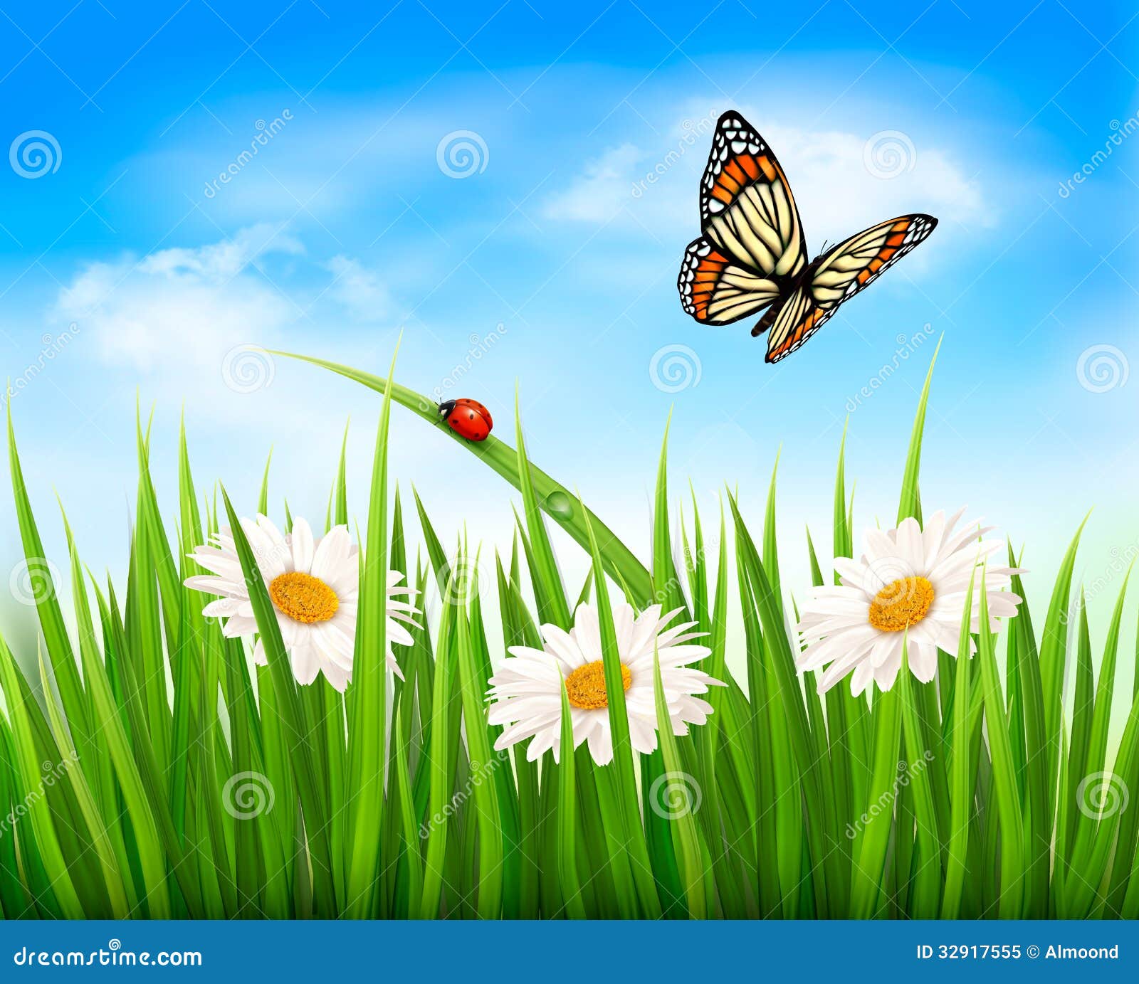 Nature Background With Green Grass Flowers And A Stock Image