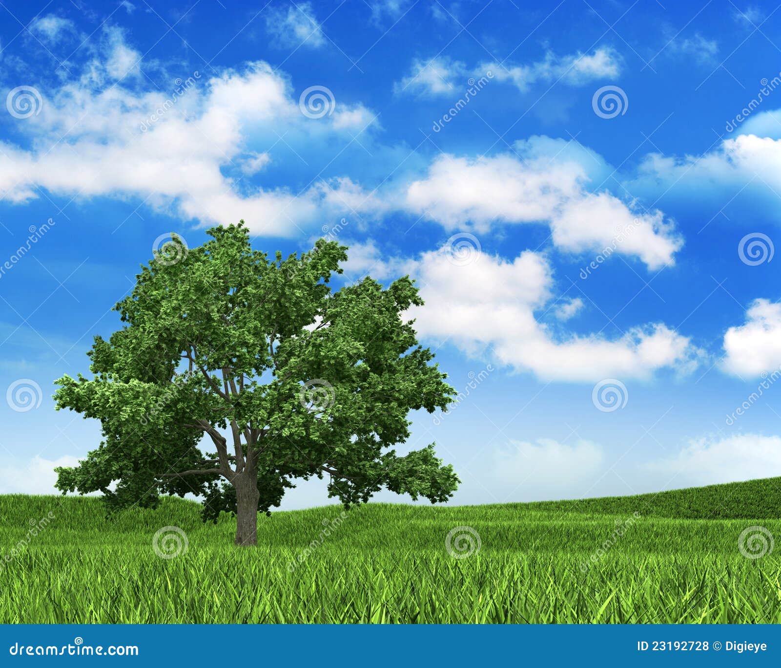 Nature Background - Sky, Grass and Tree Stock Illustration - Illustration  of grass, green: 23192728