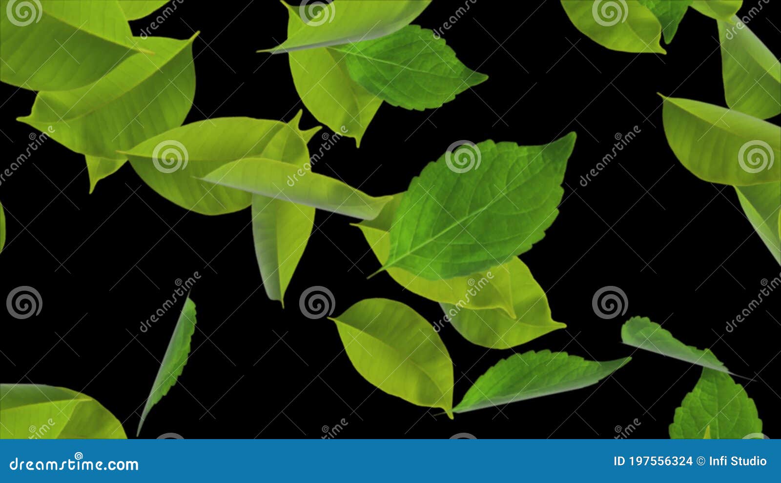 Nature Background Swamp Foliage Forest Tree Spring Leaf Mint Leaves Realistic 3D Alpha Channel Loop Animation. Stock Footage - Video of garden, greenery: 197556324 Nature Background Swamp Foliage Forest Tree Spring Leaf Mint Leaves Realistic 3D Alpha Channel Loop Animation. Stock Footage - Video of garden, greenery: 197556324