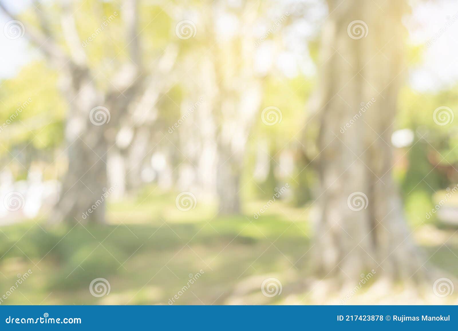 692 Blur Green Background Lawn Trees Garden Stock Photos - Free &  Royalty-Free Stock Photos from Dreamstime