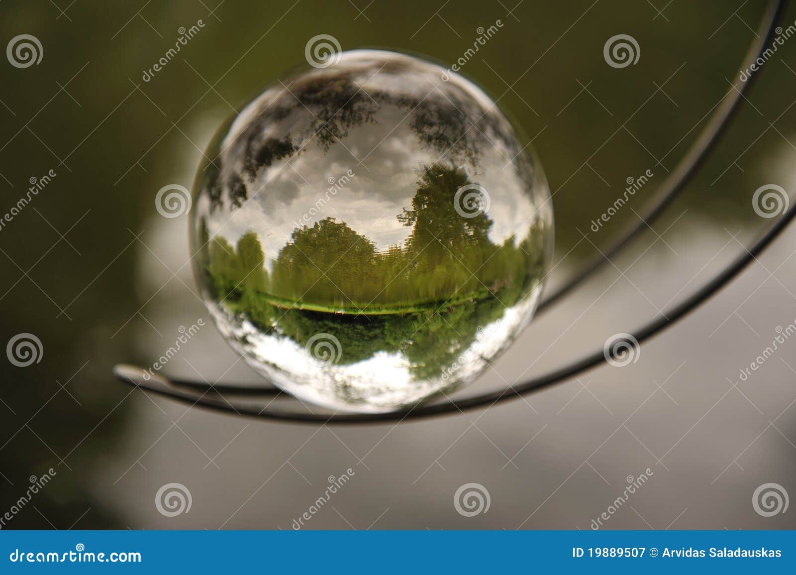 Nature in a bubble. stock image. Image of objects, green - 19889507